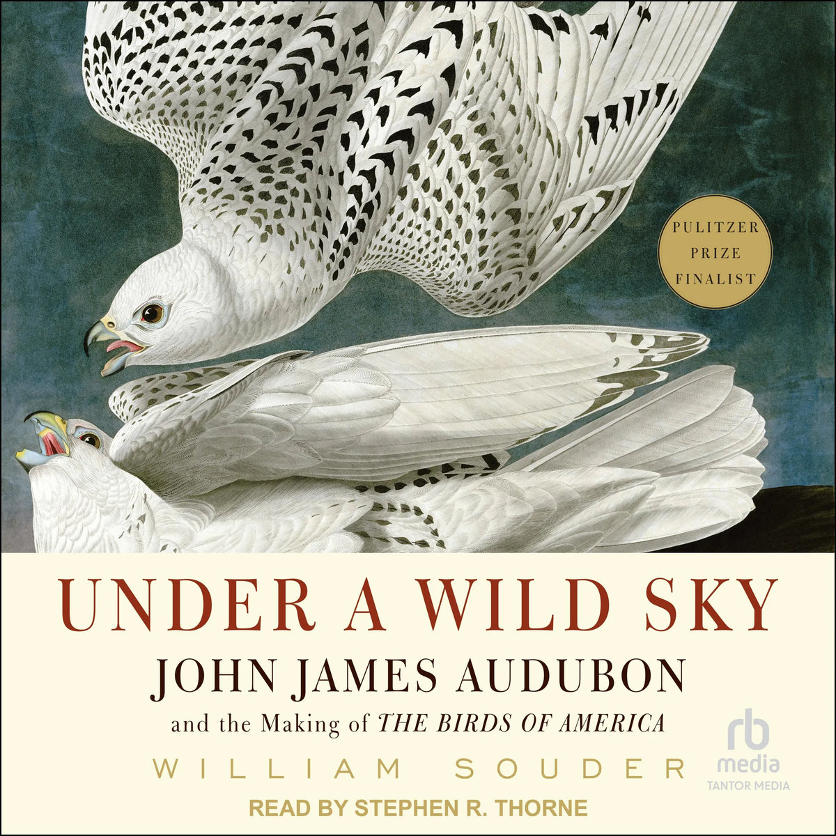 Under a Wild Sky