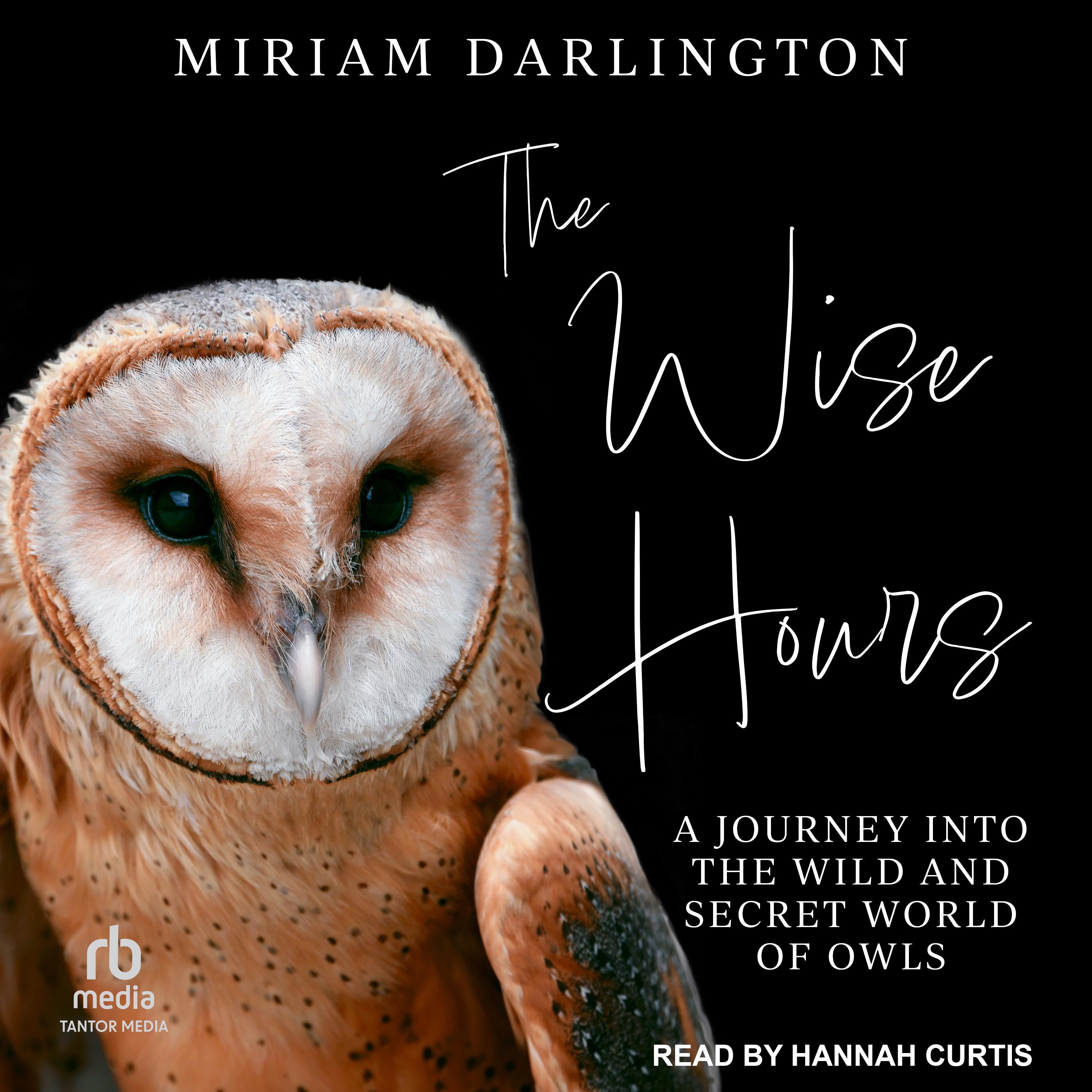 The Wise Hours