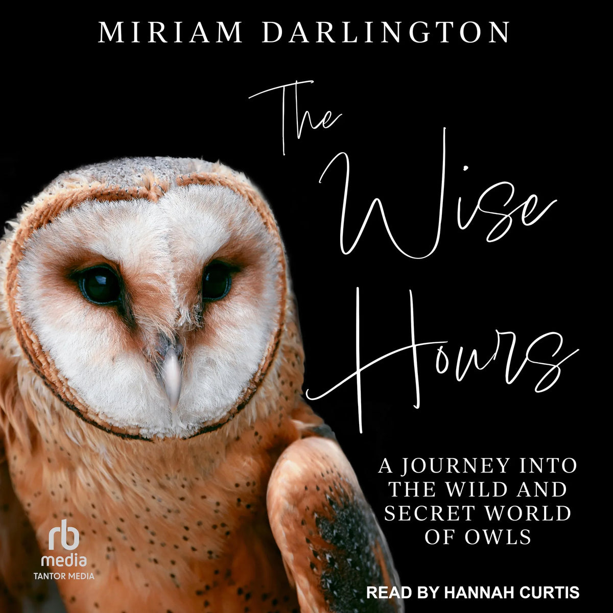 The Wise Hours