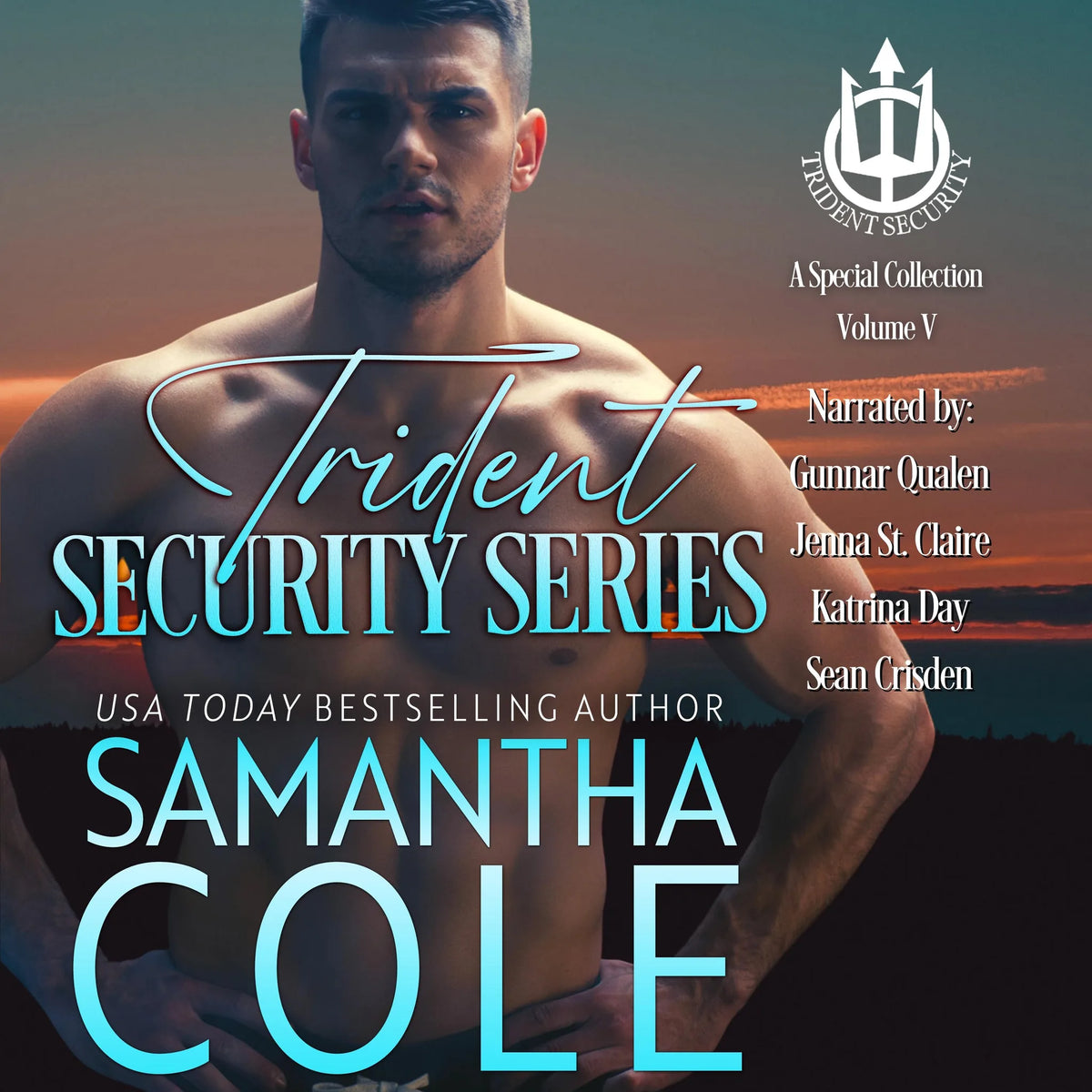 Trident Security Series: A Special Collection: Volume V