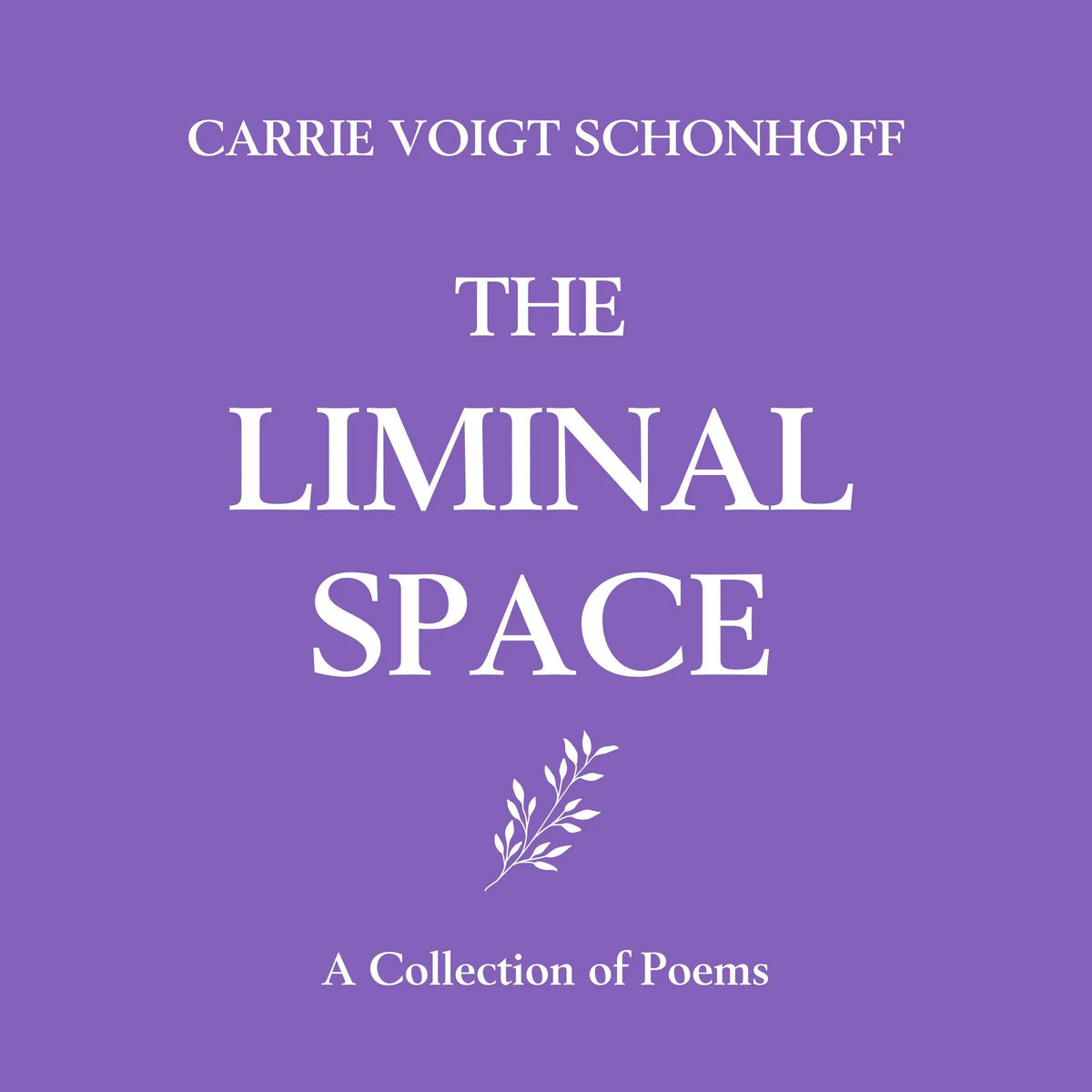The Liminal Space
