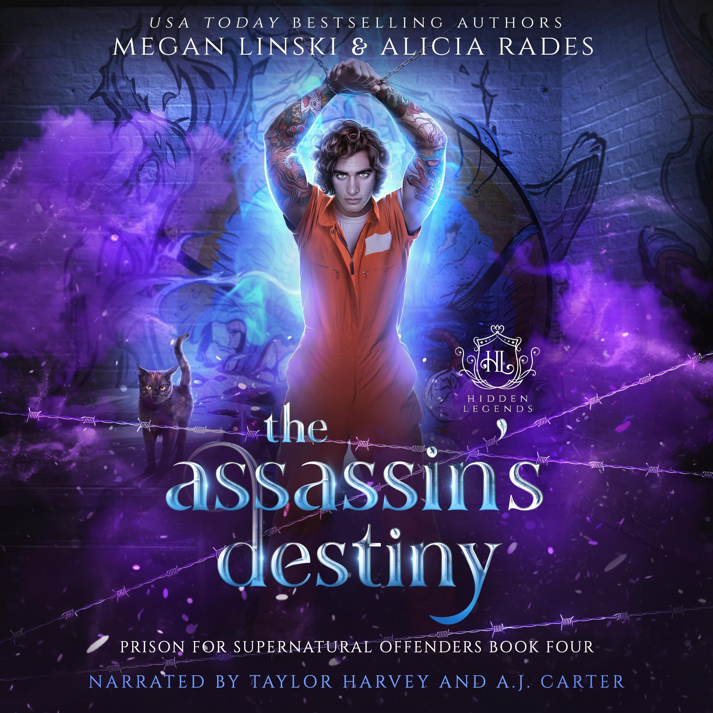 The Assassin's Destiny