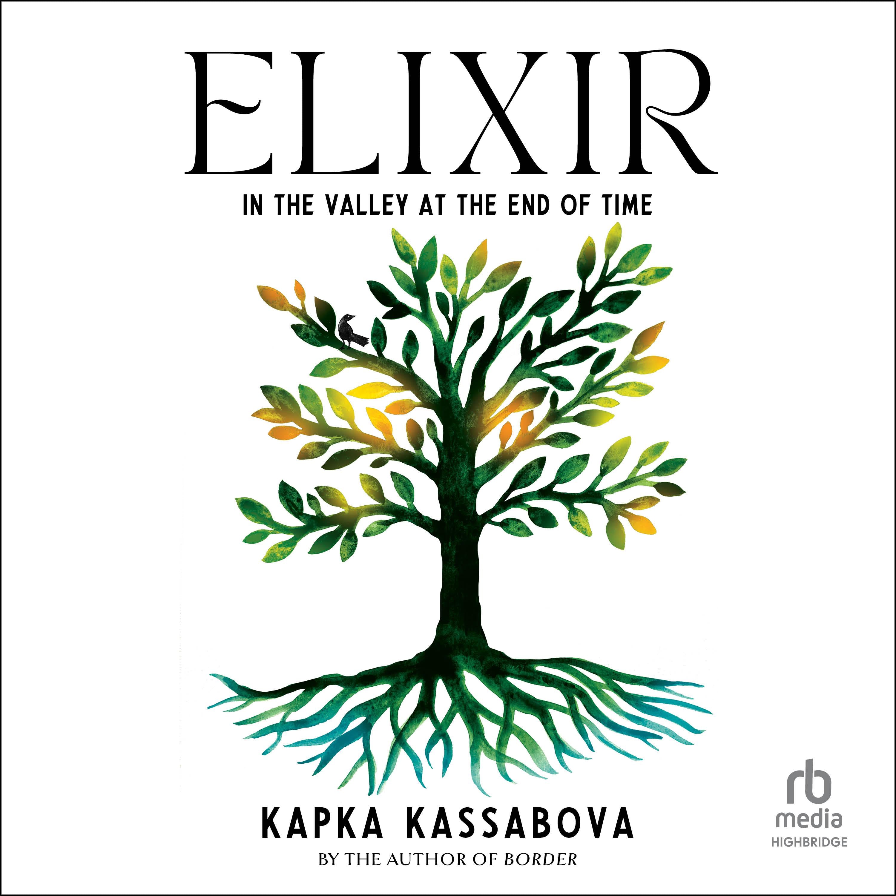 Elixir