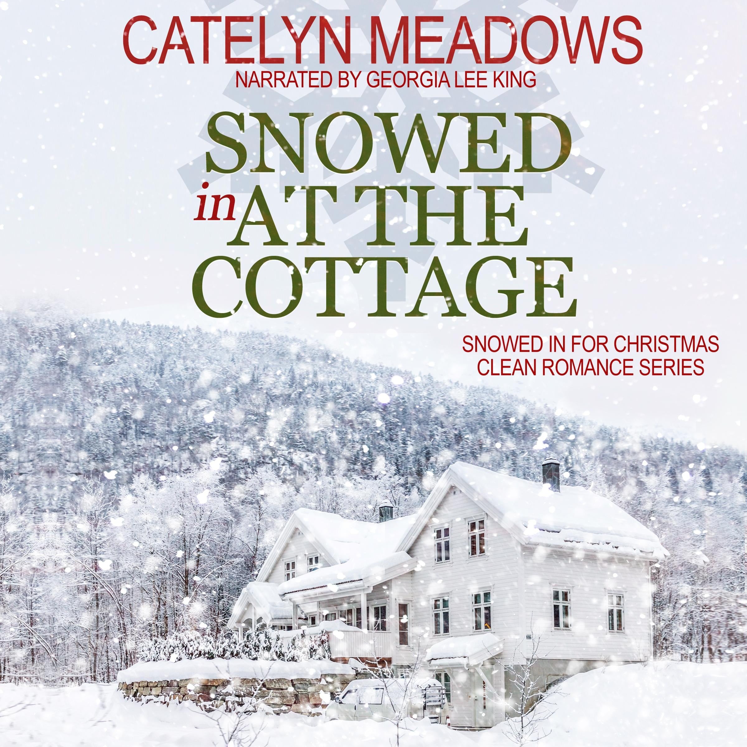 Snowed In at the Cottage