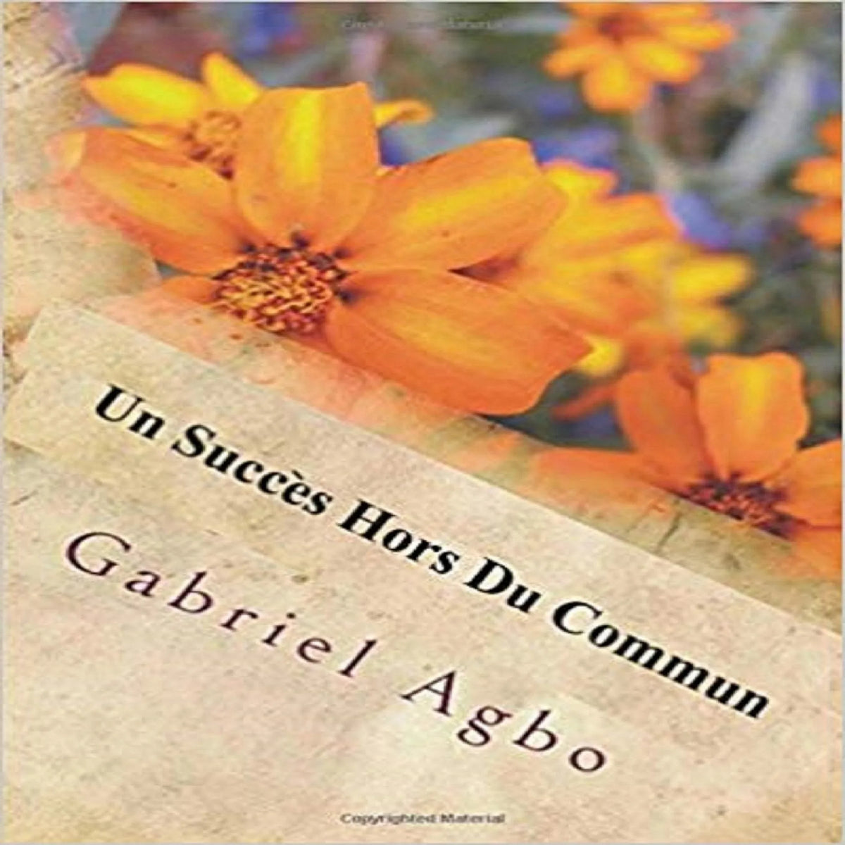Un succès hors du commun