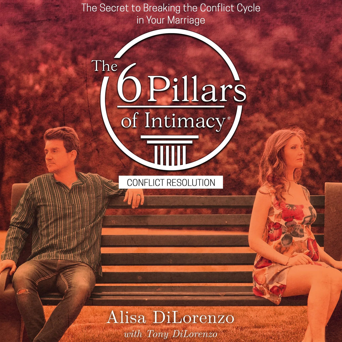The 6 Pillars of Intimacy Conflict Resolution