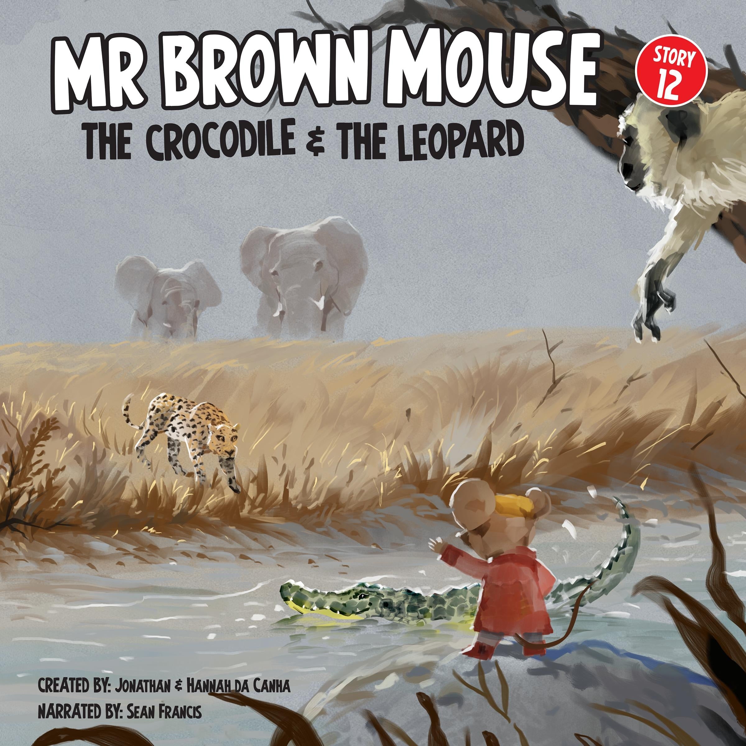Mr Brown Mouse The Crocodile And The Leapard