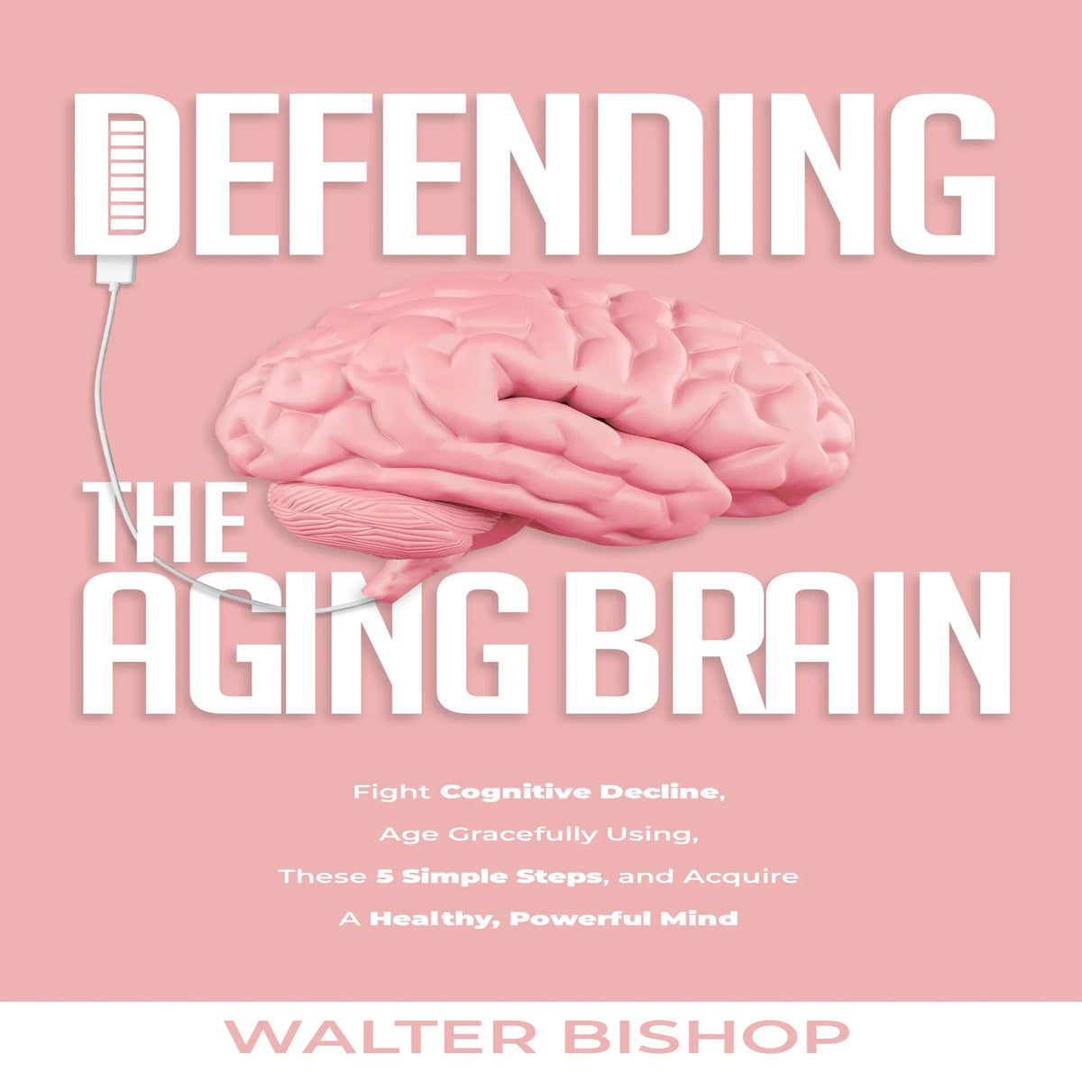 Defending the Aging Brain