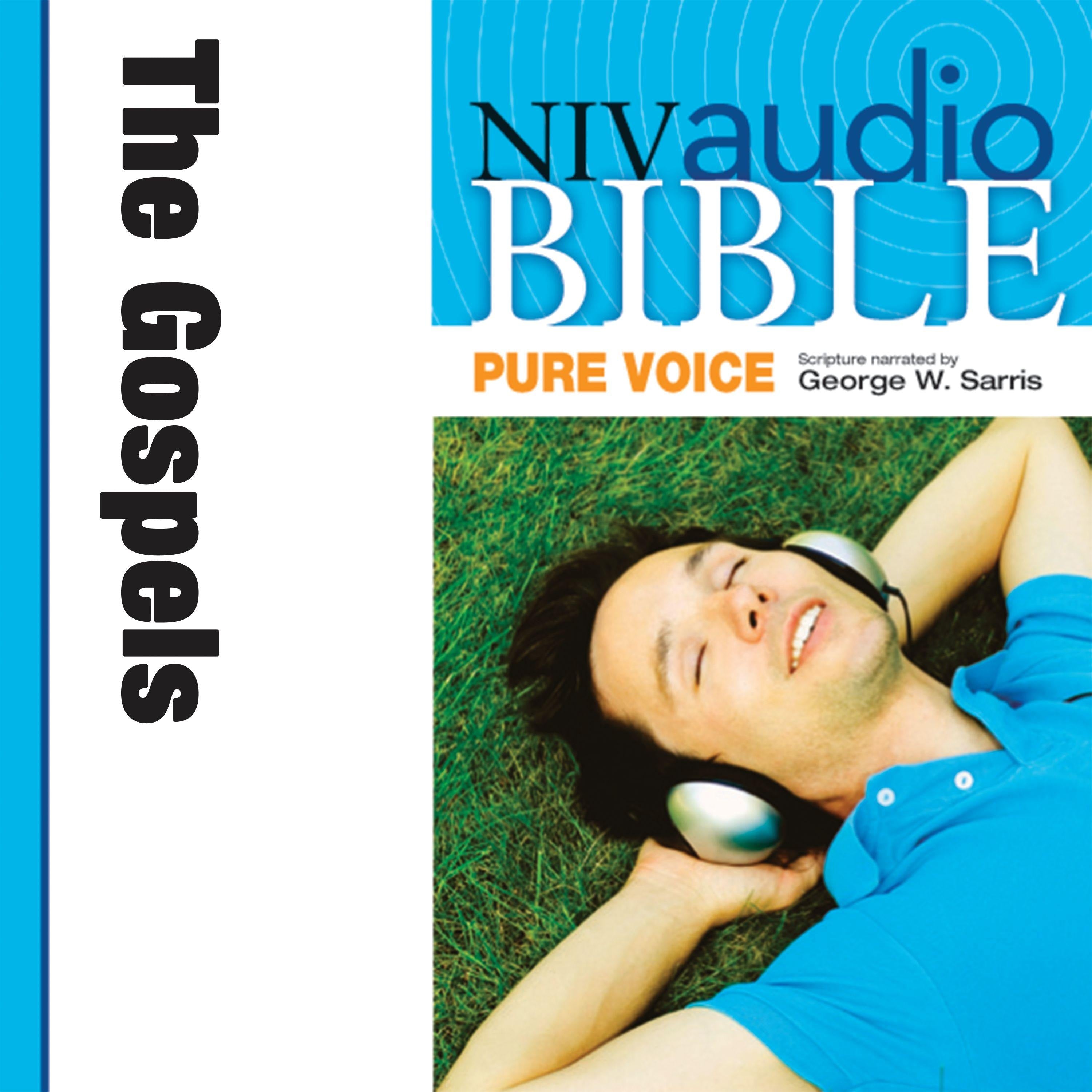 Pure Voice Audio Bible - New International Version, NIV: The Gospels