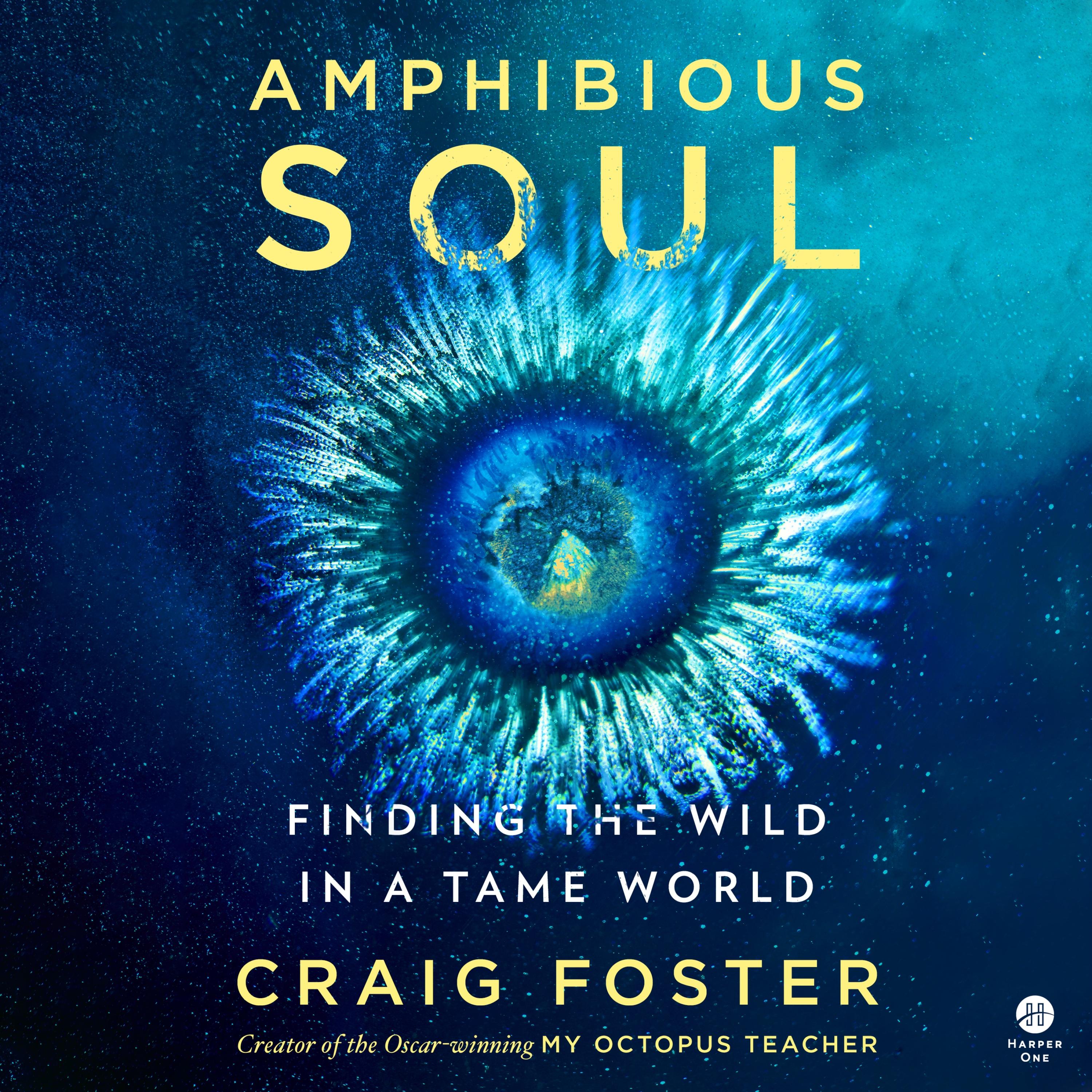 Amphibious Soul