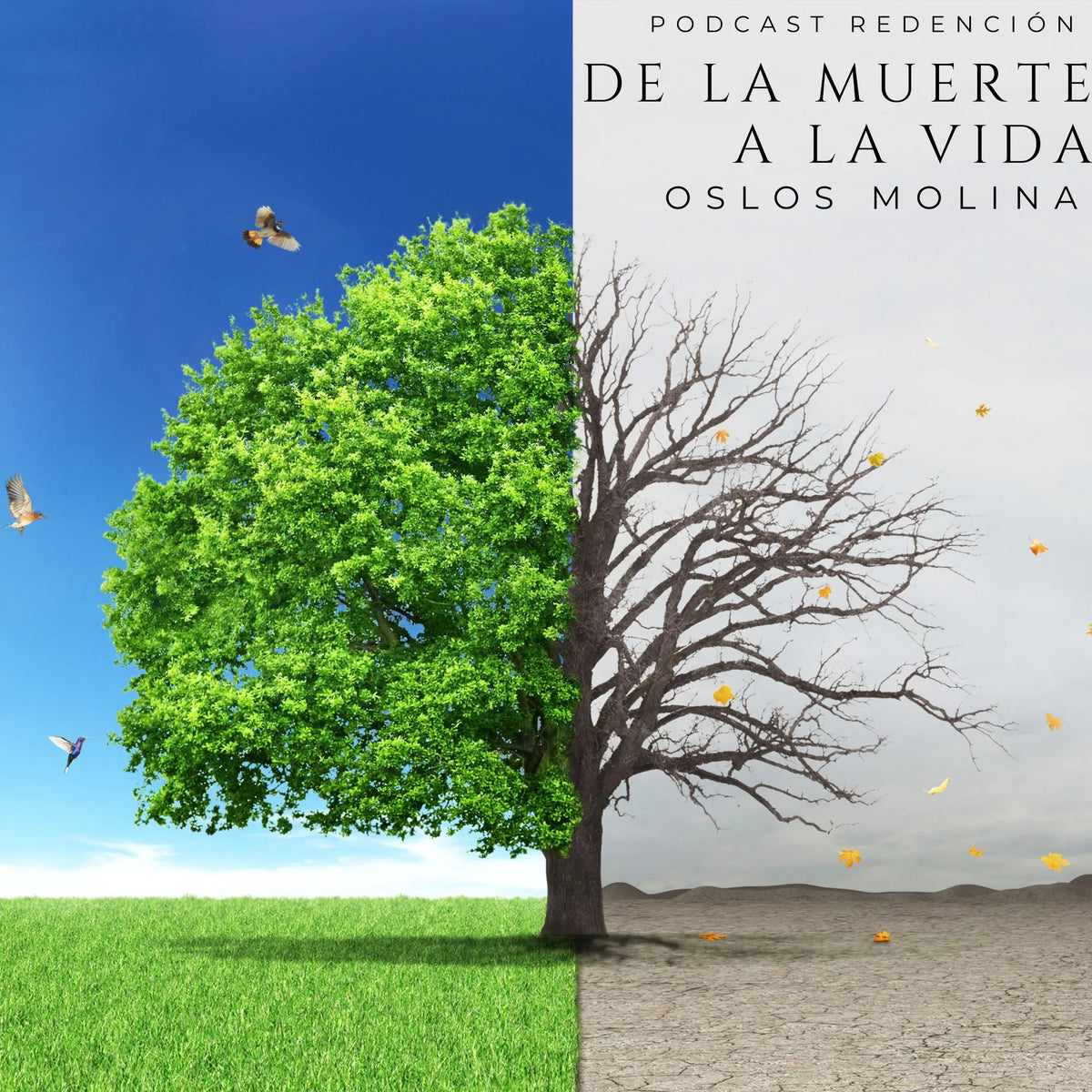 De la muerte a la vida