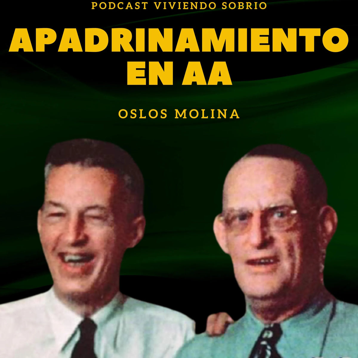 Apadrinamiento en AA