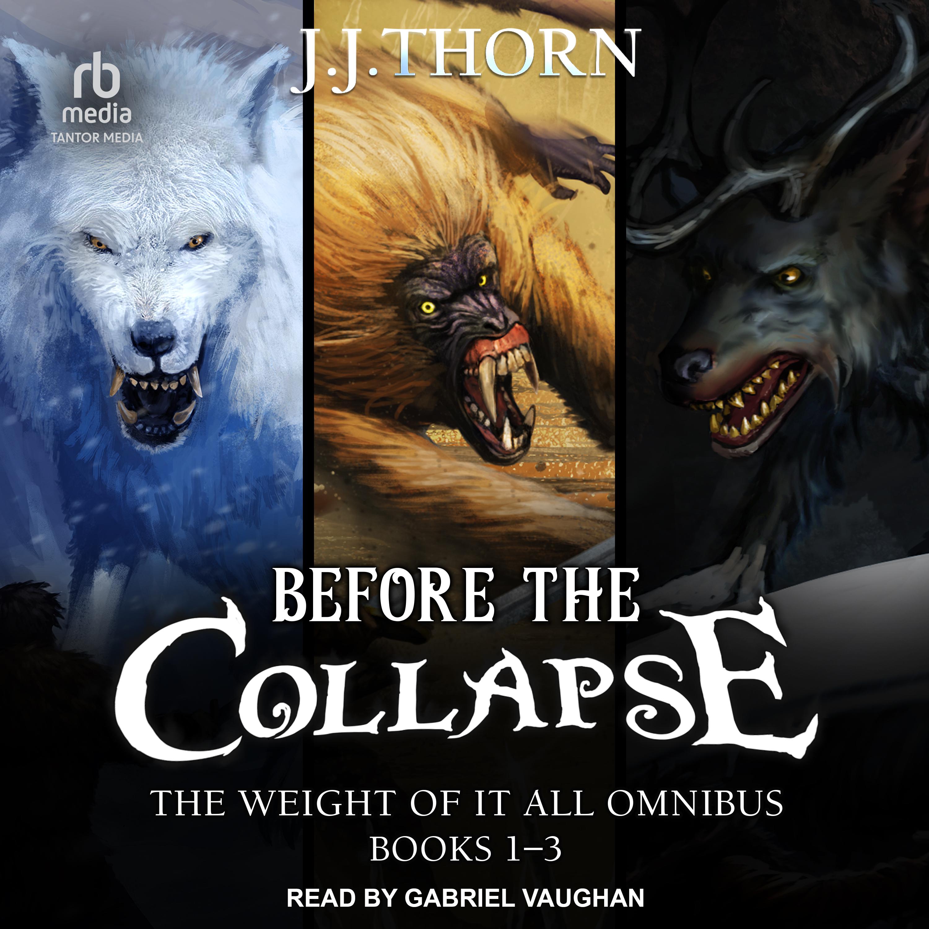Before The Collapse