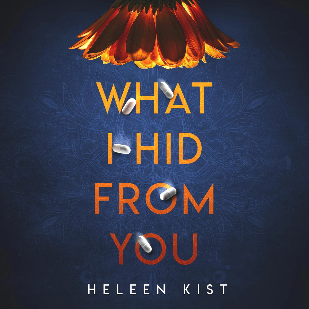 What I Hid From You