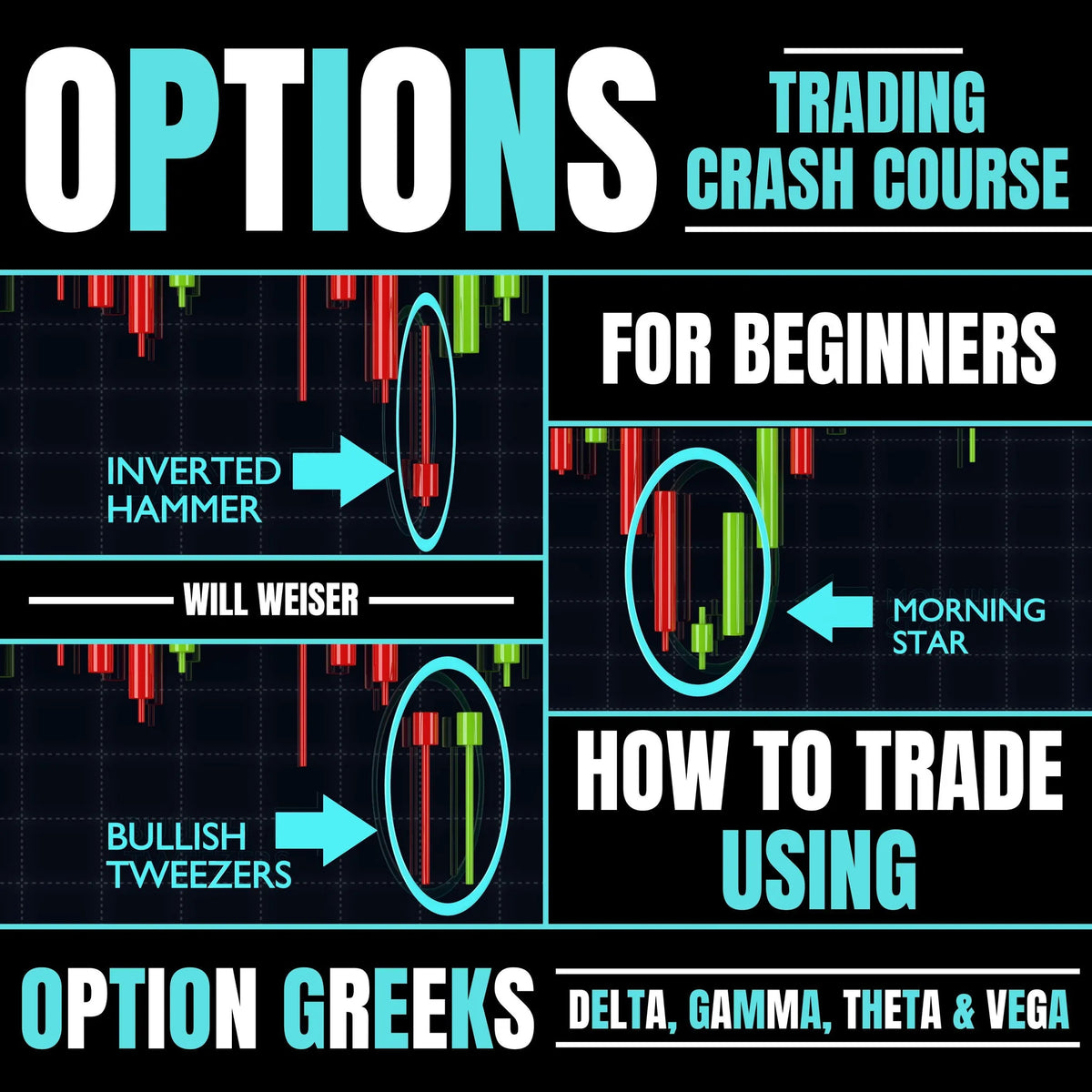 Options Trading Crash Course For Beginners