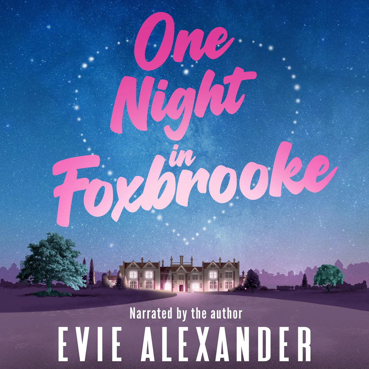 One Night in Foxbrooke