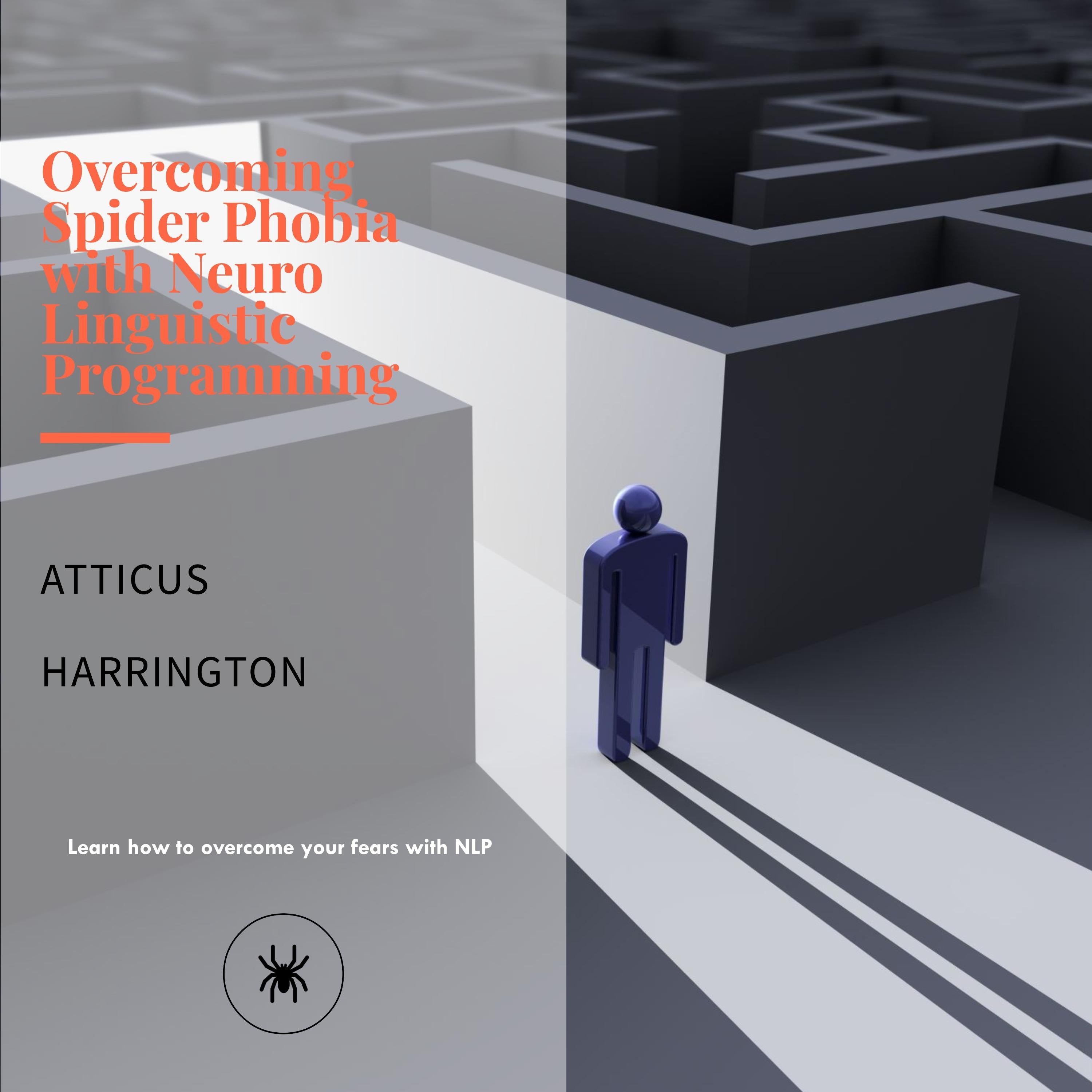 Overcoming Spider Phobia with Neuro Linguistic Programming