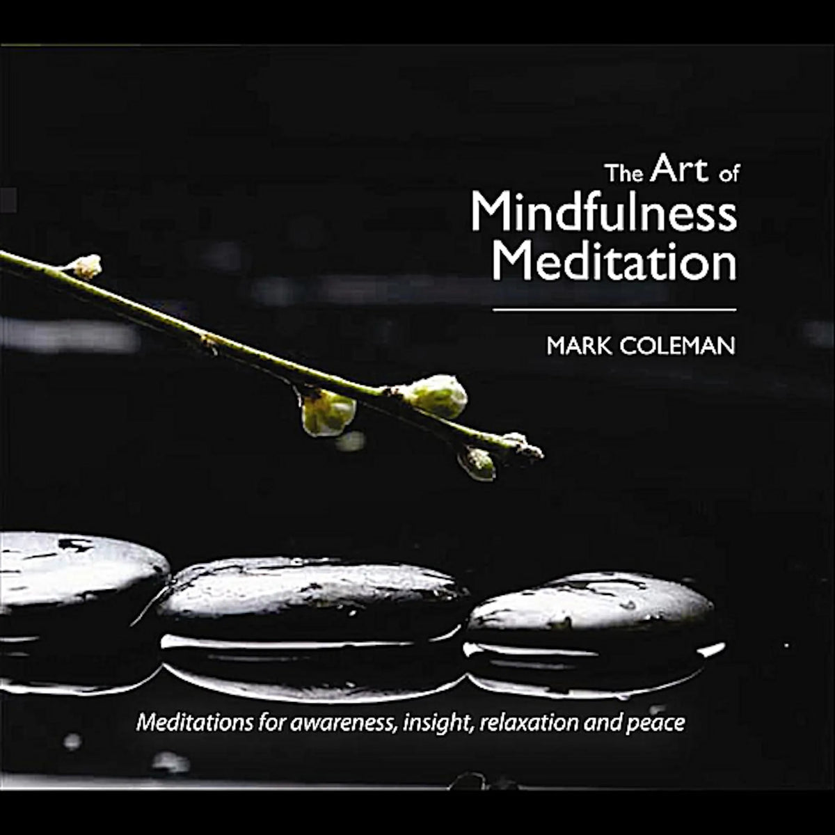 The Art of Mindfulness Meditation with Mark Coleman