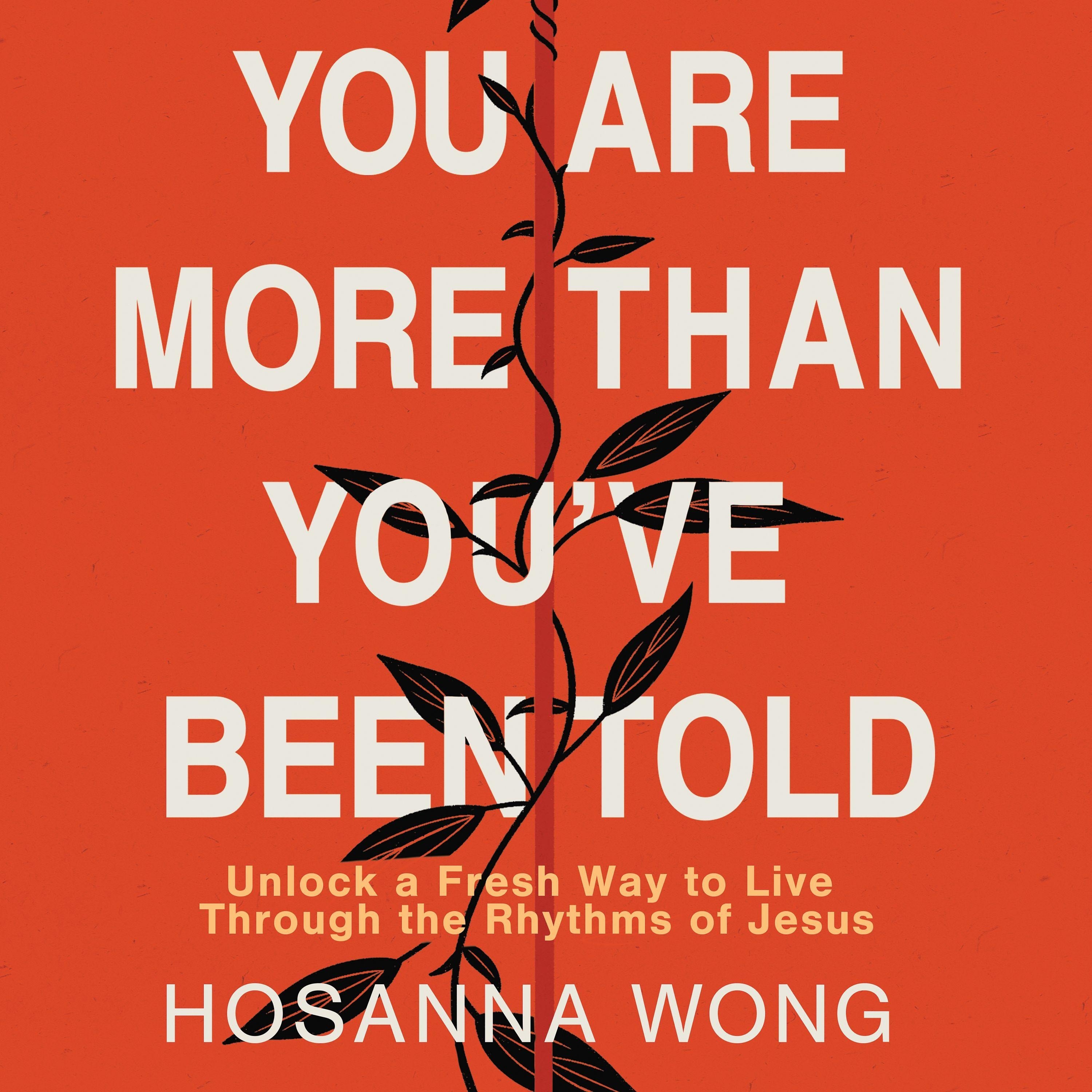 You Are More Than You've Been Told