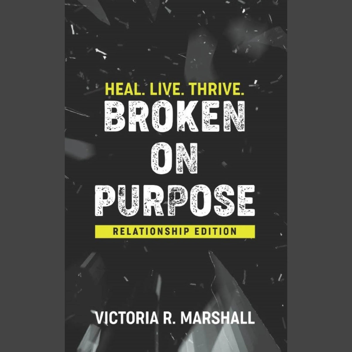 Broken on Purpose: Relationship Edition