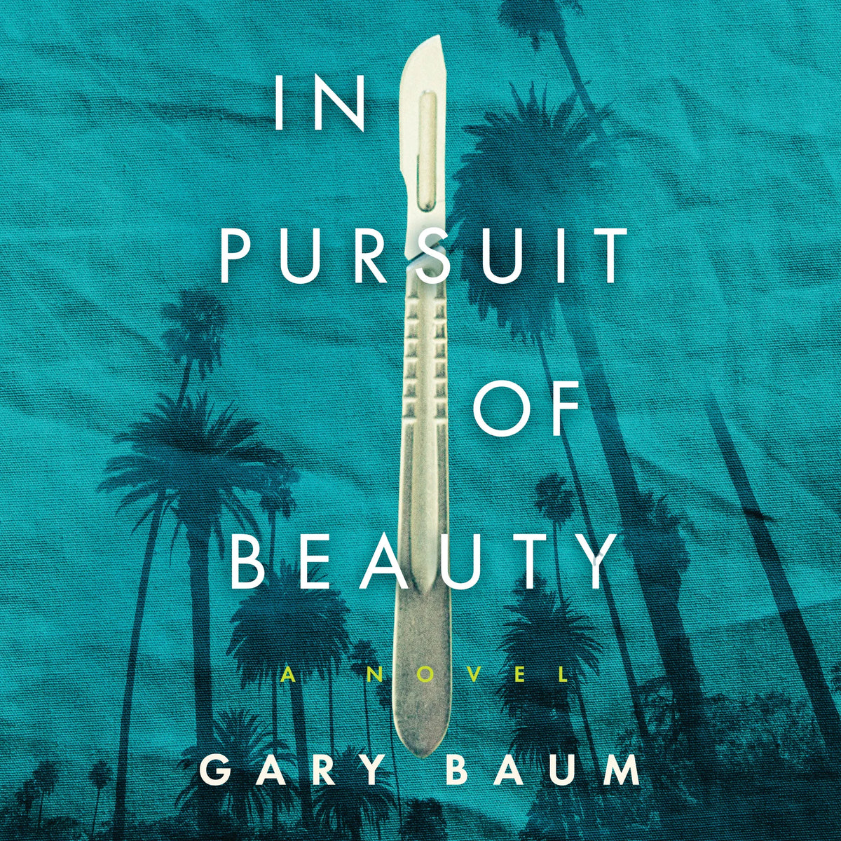 In Pursuit of Beauty