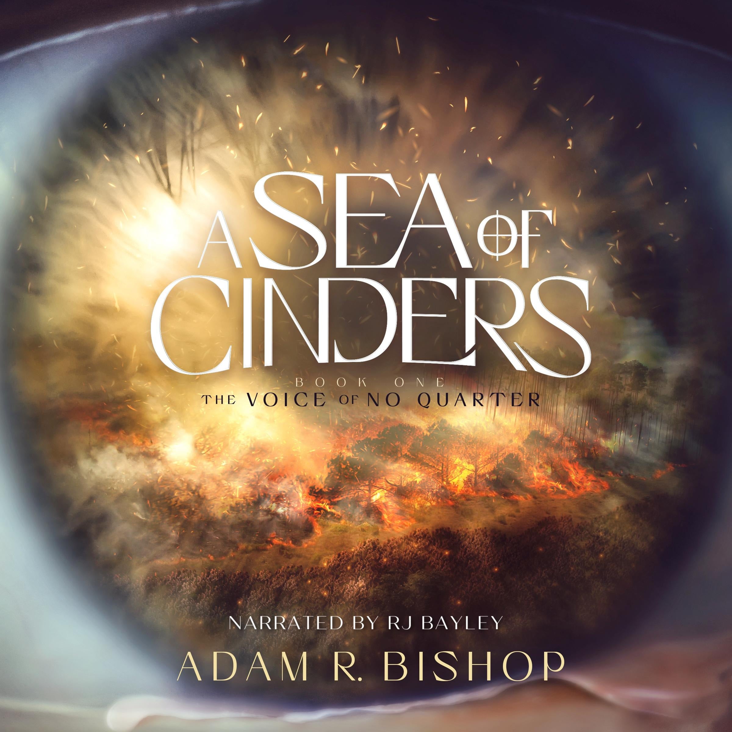 A Sea of Cinders