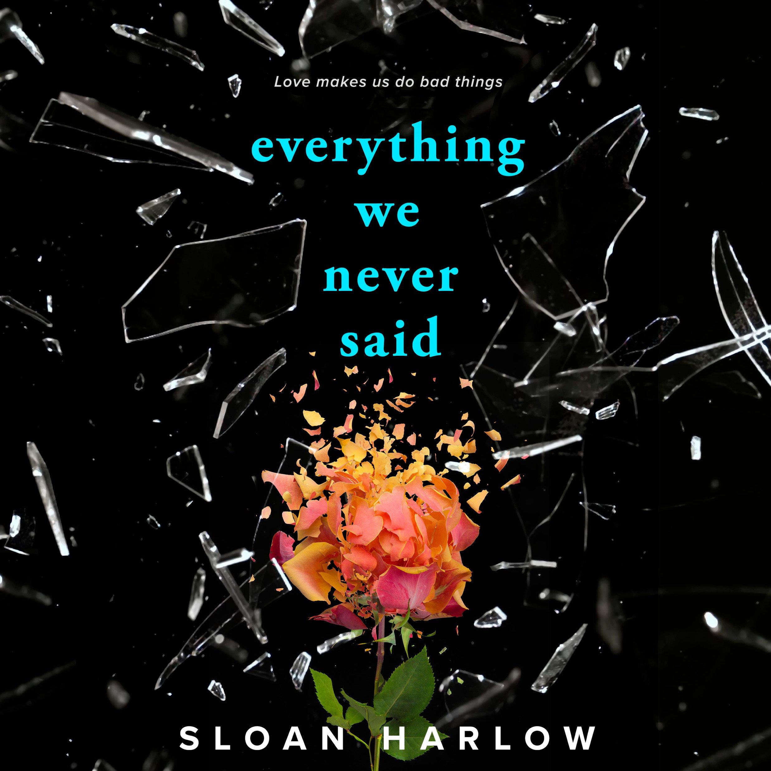 Everything We Never Said