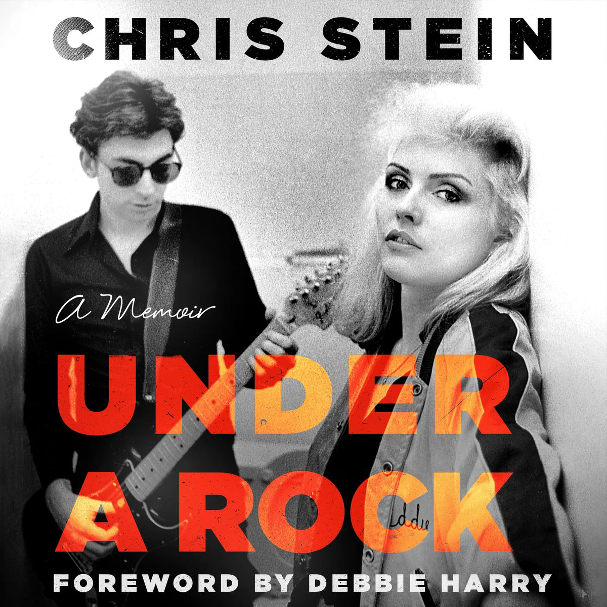Under a Rock