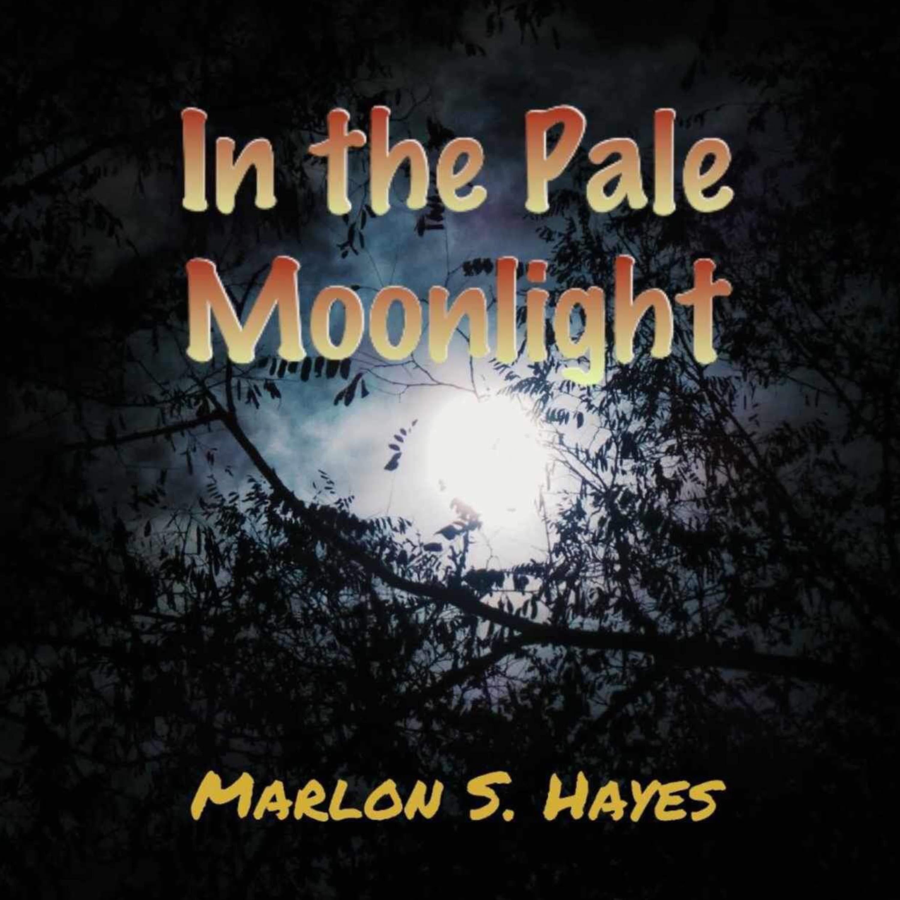 In the Pale Moonlight