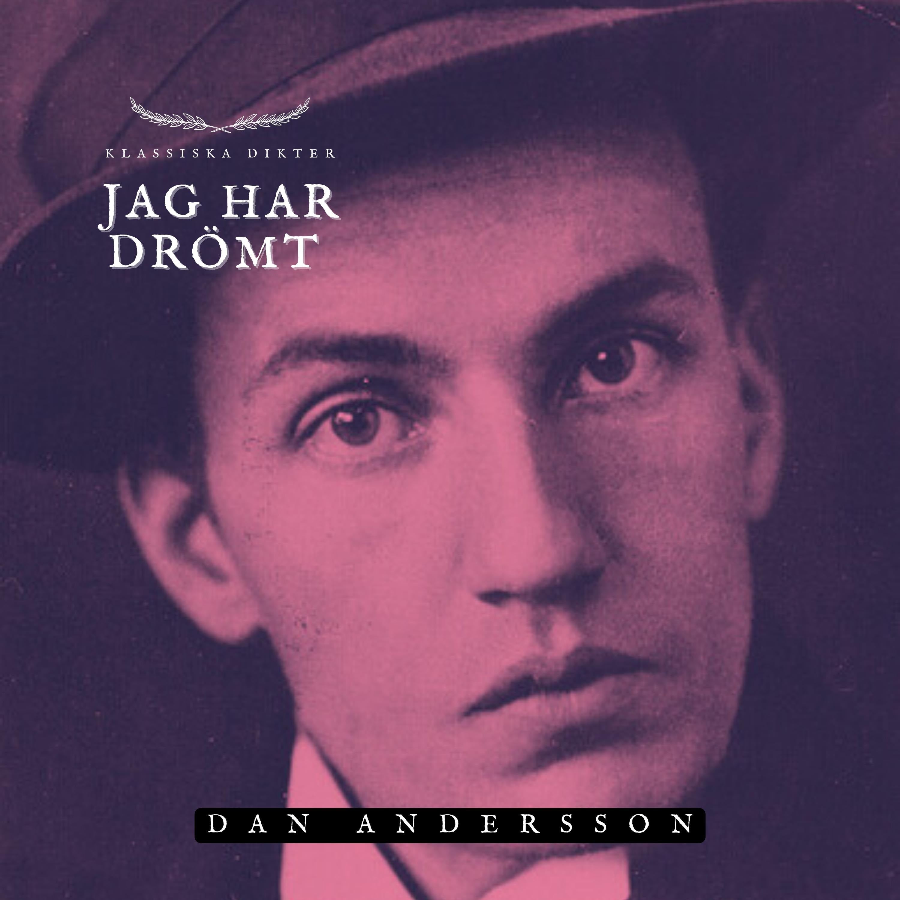 Jag har drömt