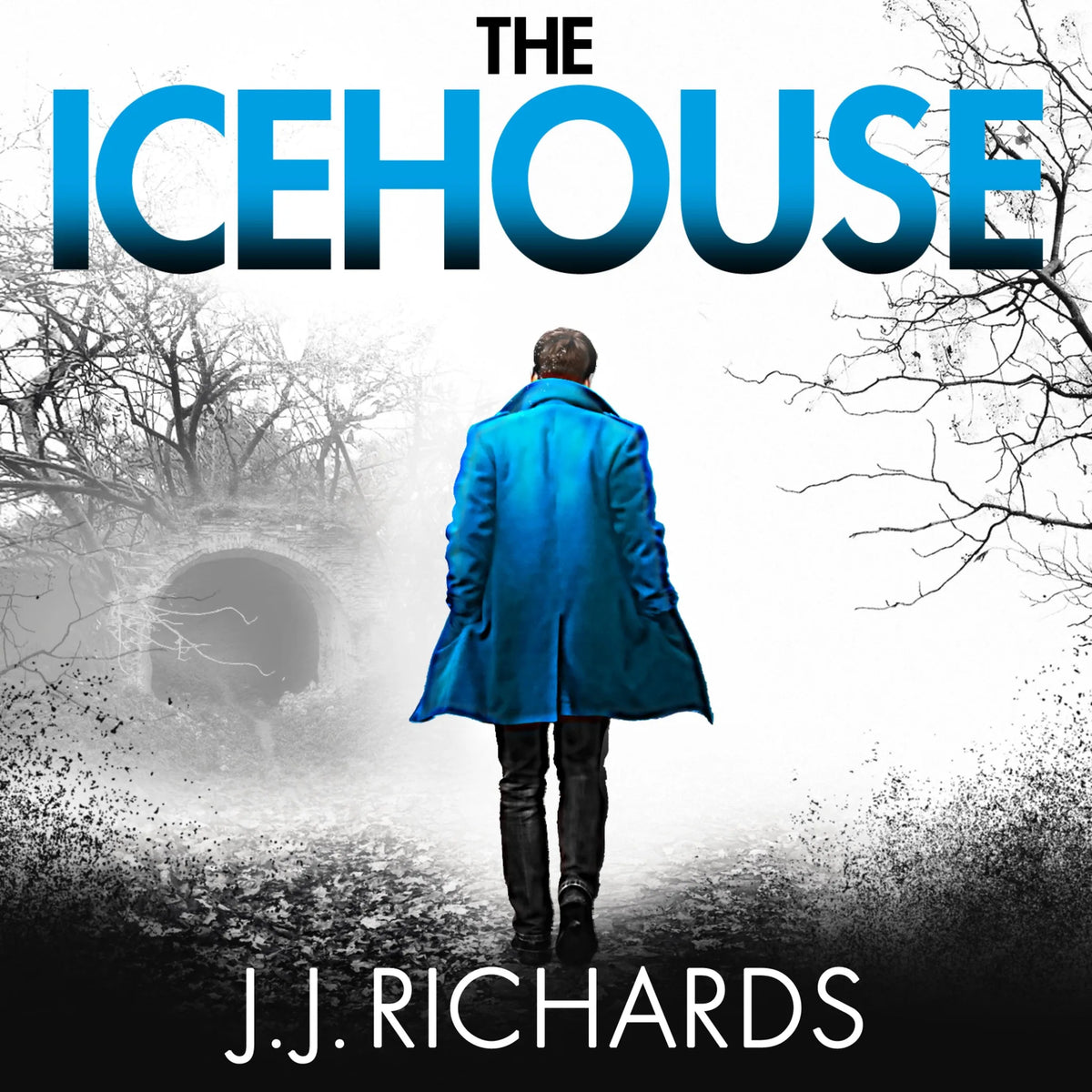 The Icehouse