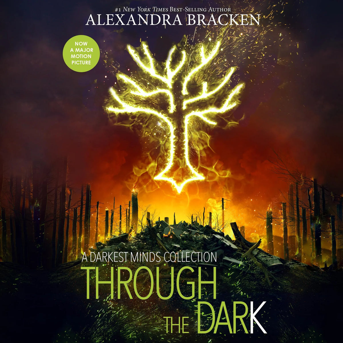 Through the Dark