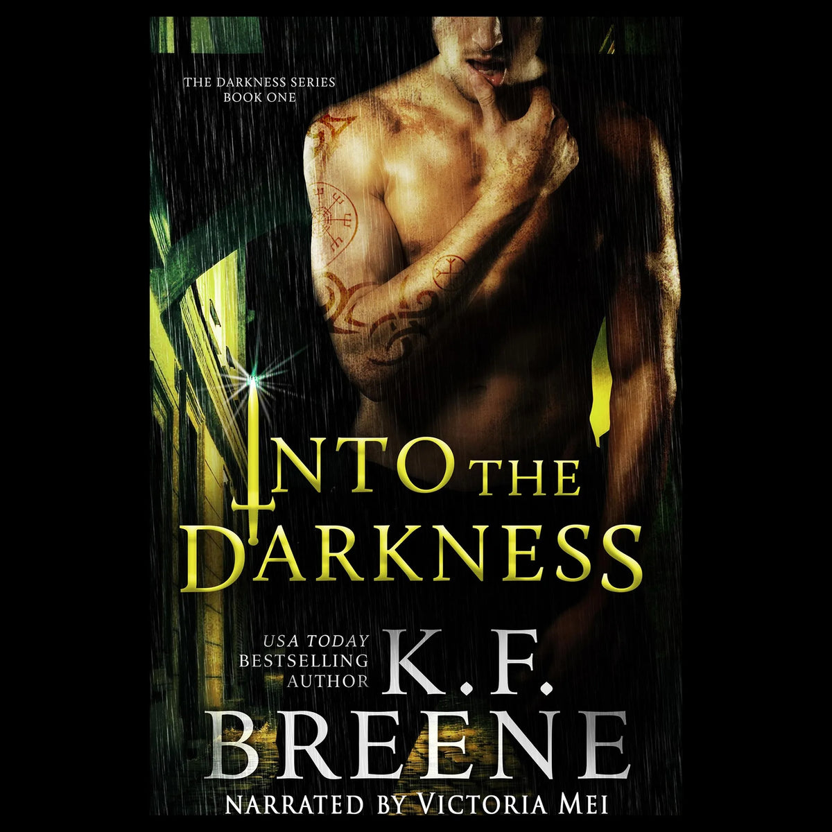Into the Darkness