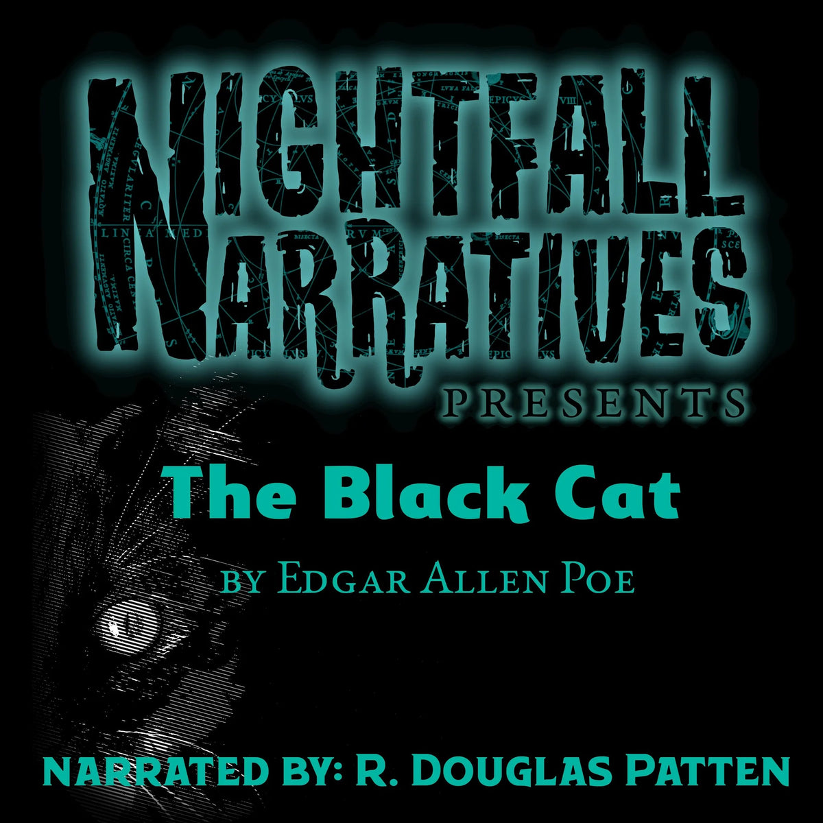 The Black Cat