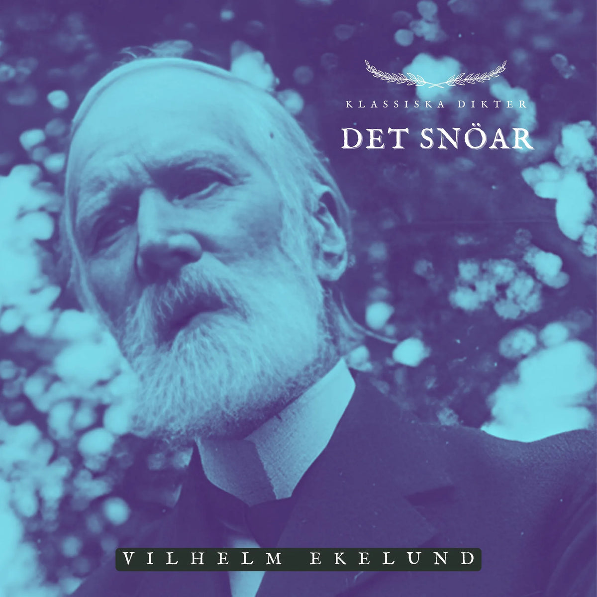Det snöar
