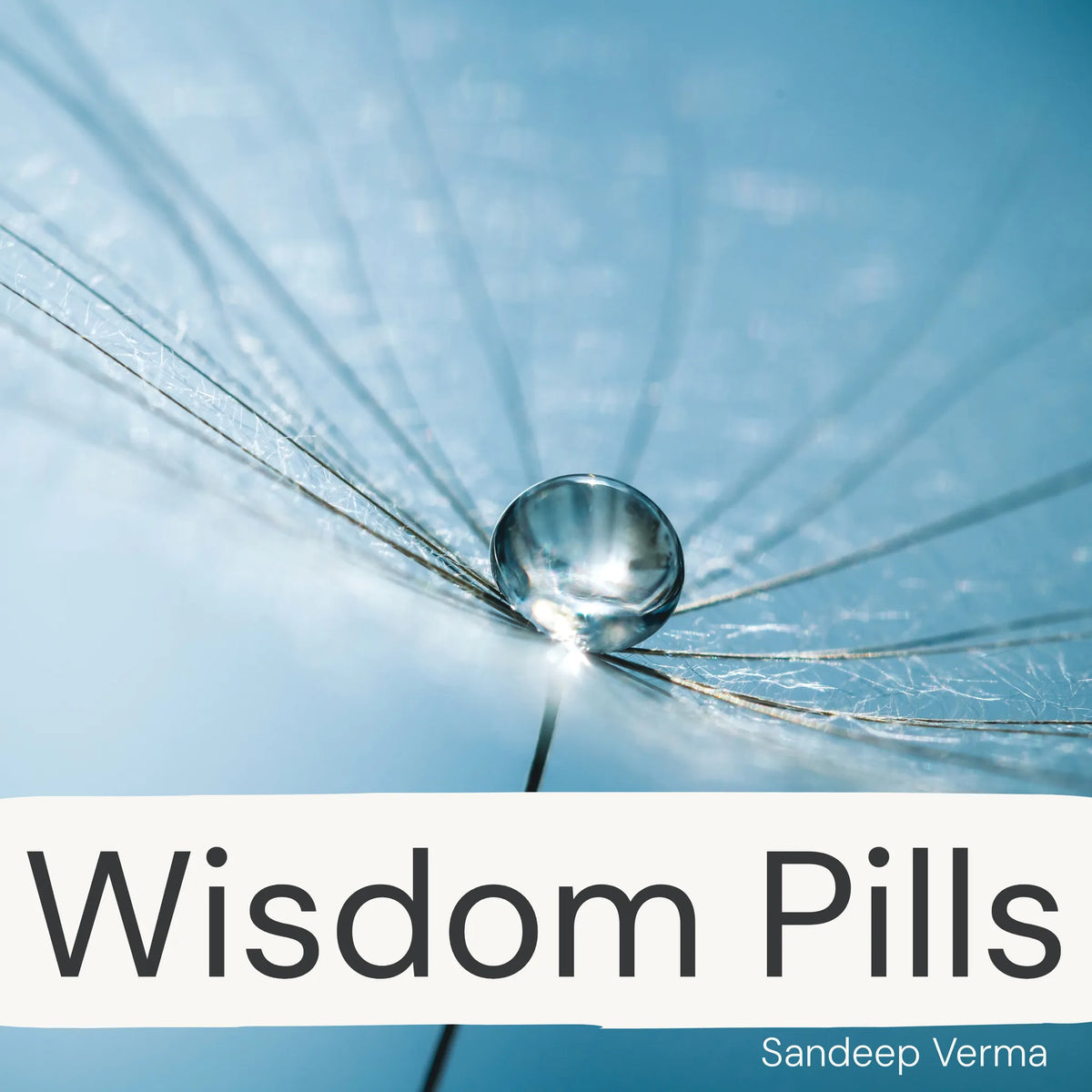 Wisdom Pills