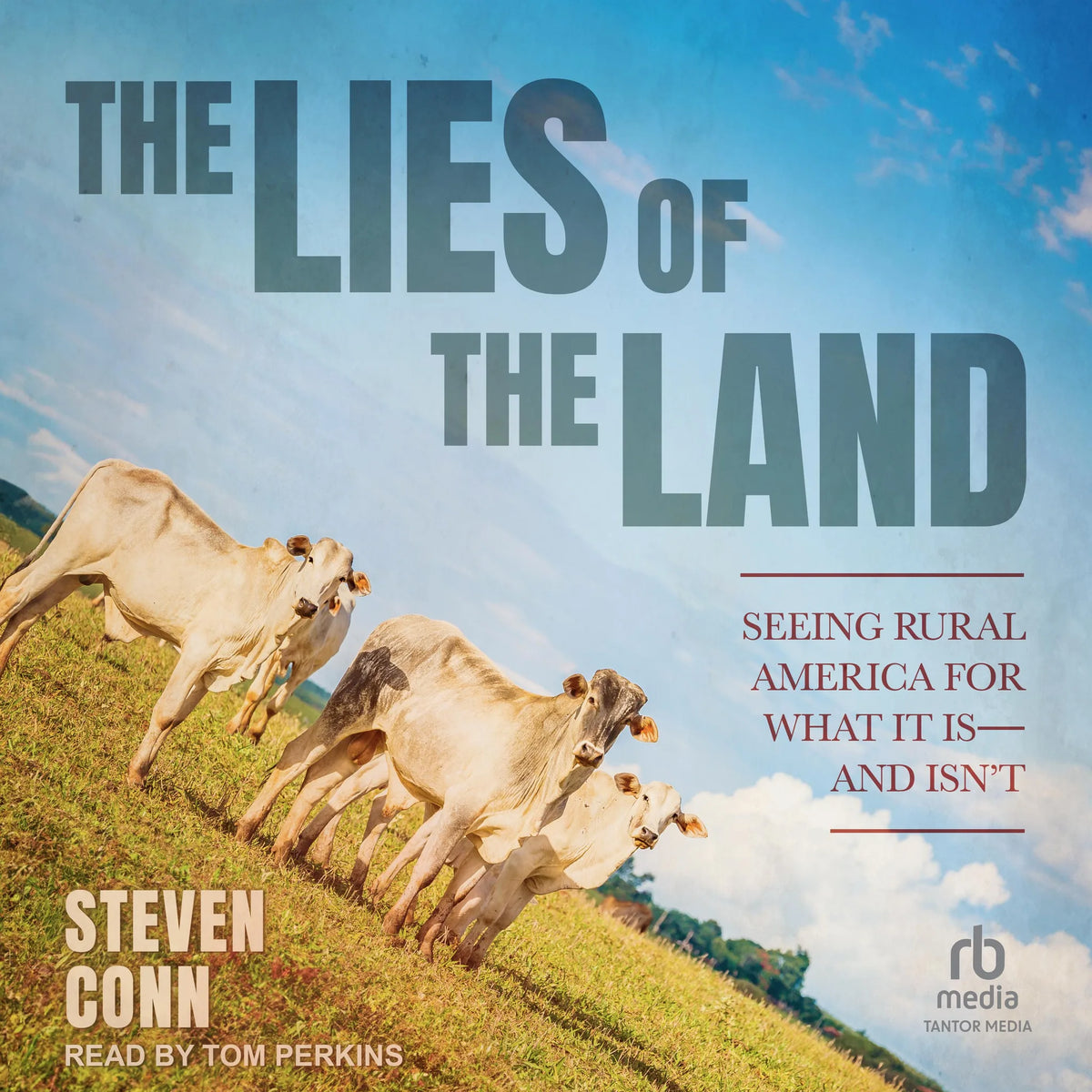 The Lies of the Land