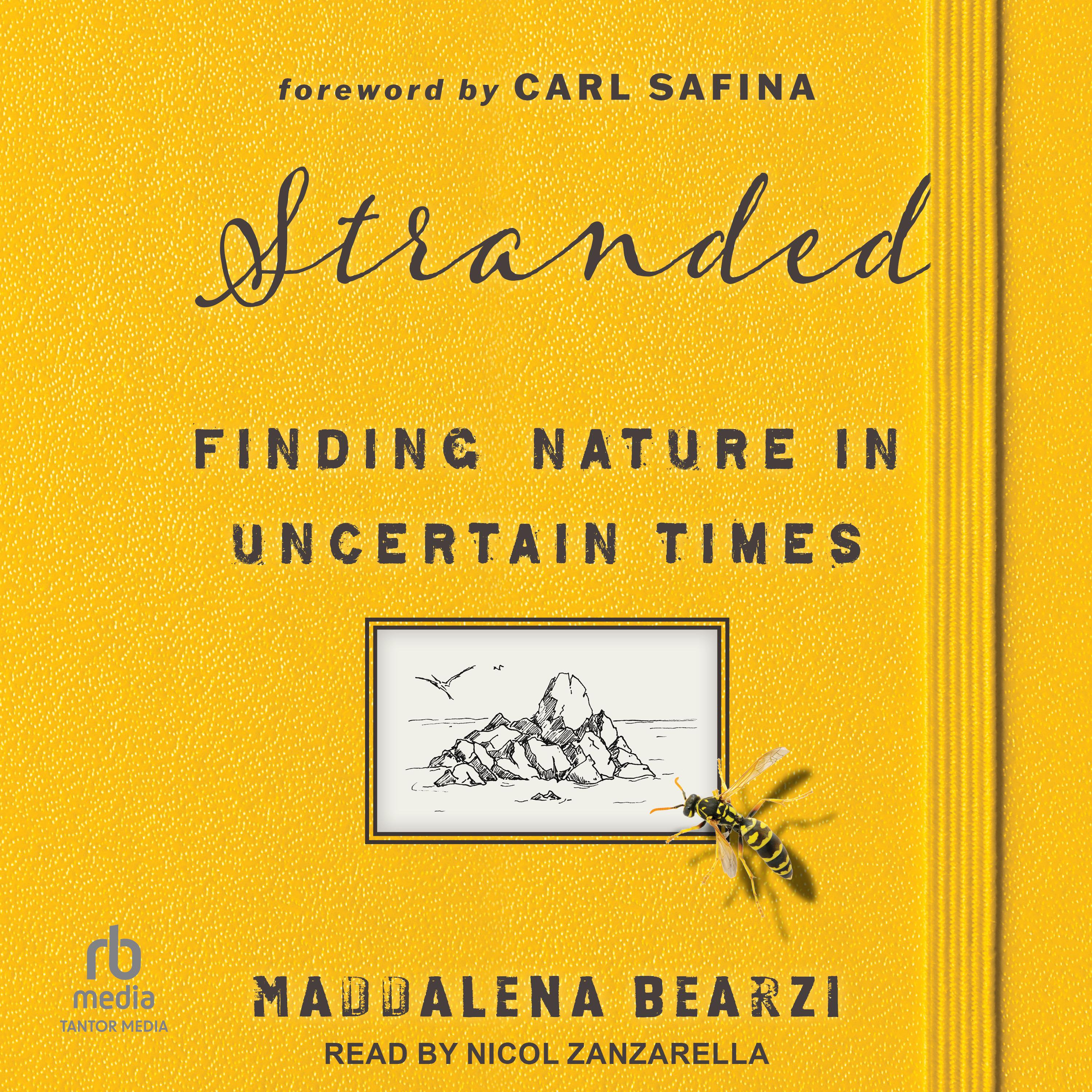 Stranded