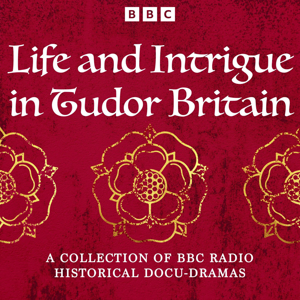 Life and Intrigue in Tudor Britain