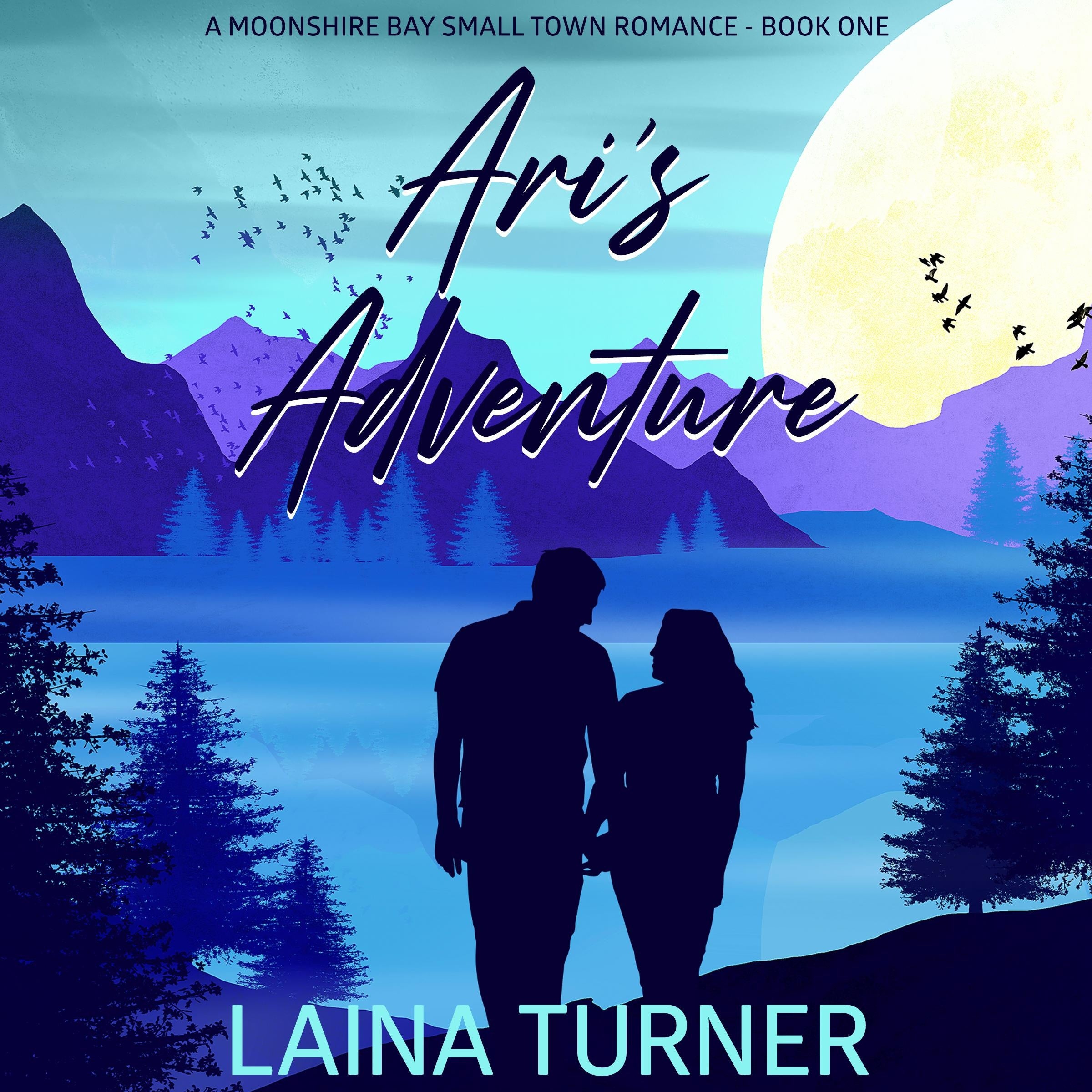 Ari's Adventure
