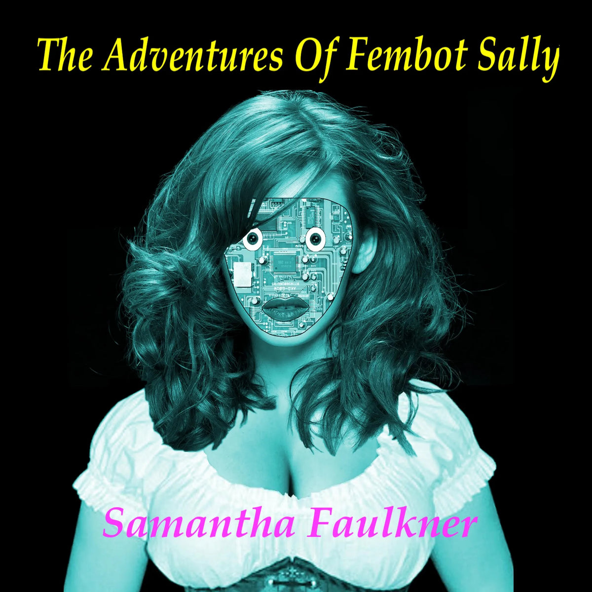 The Adventures of Fembot Sally