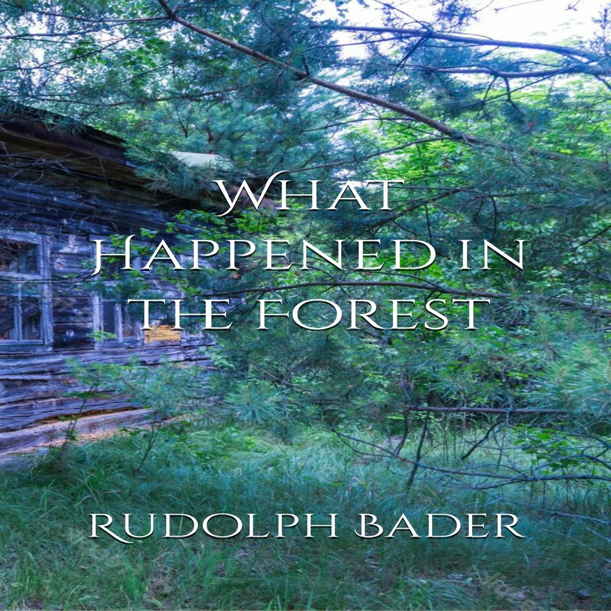 What Happened in the Forest