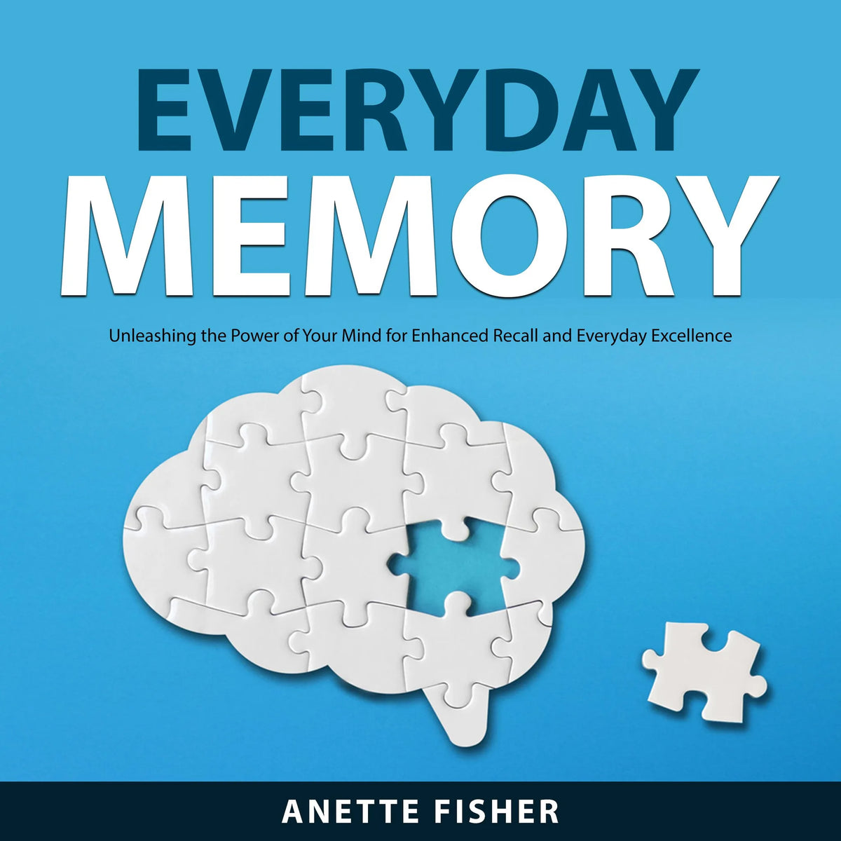 Everyday Memory
