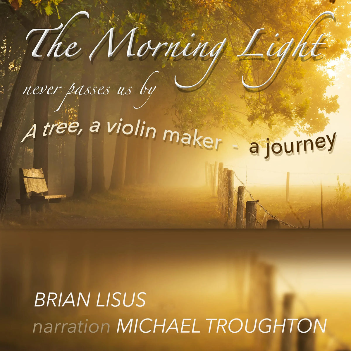 The Morning Light