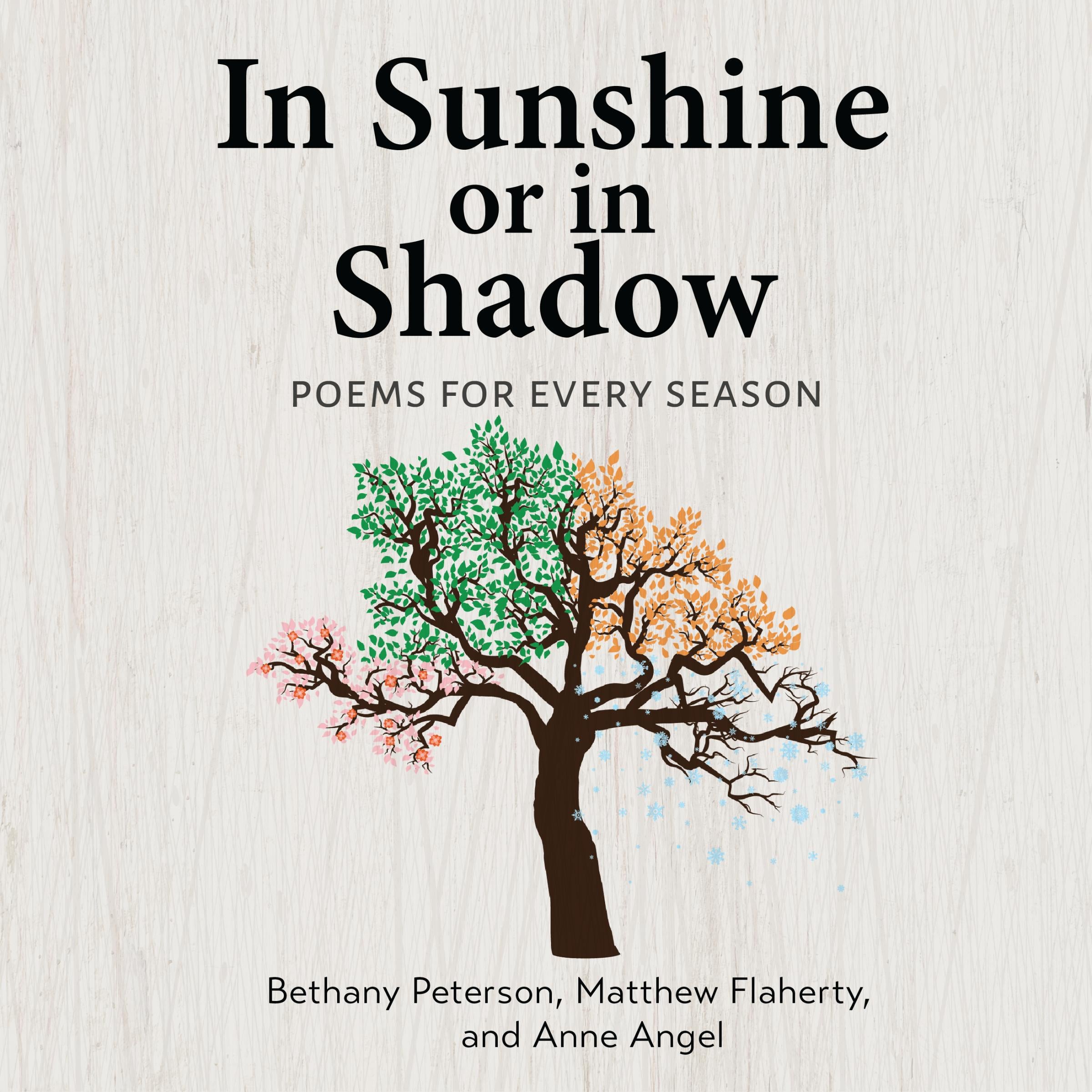 In Sunshine or in Shadow