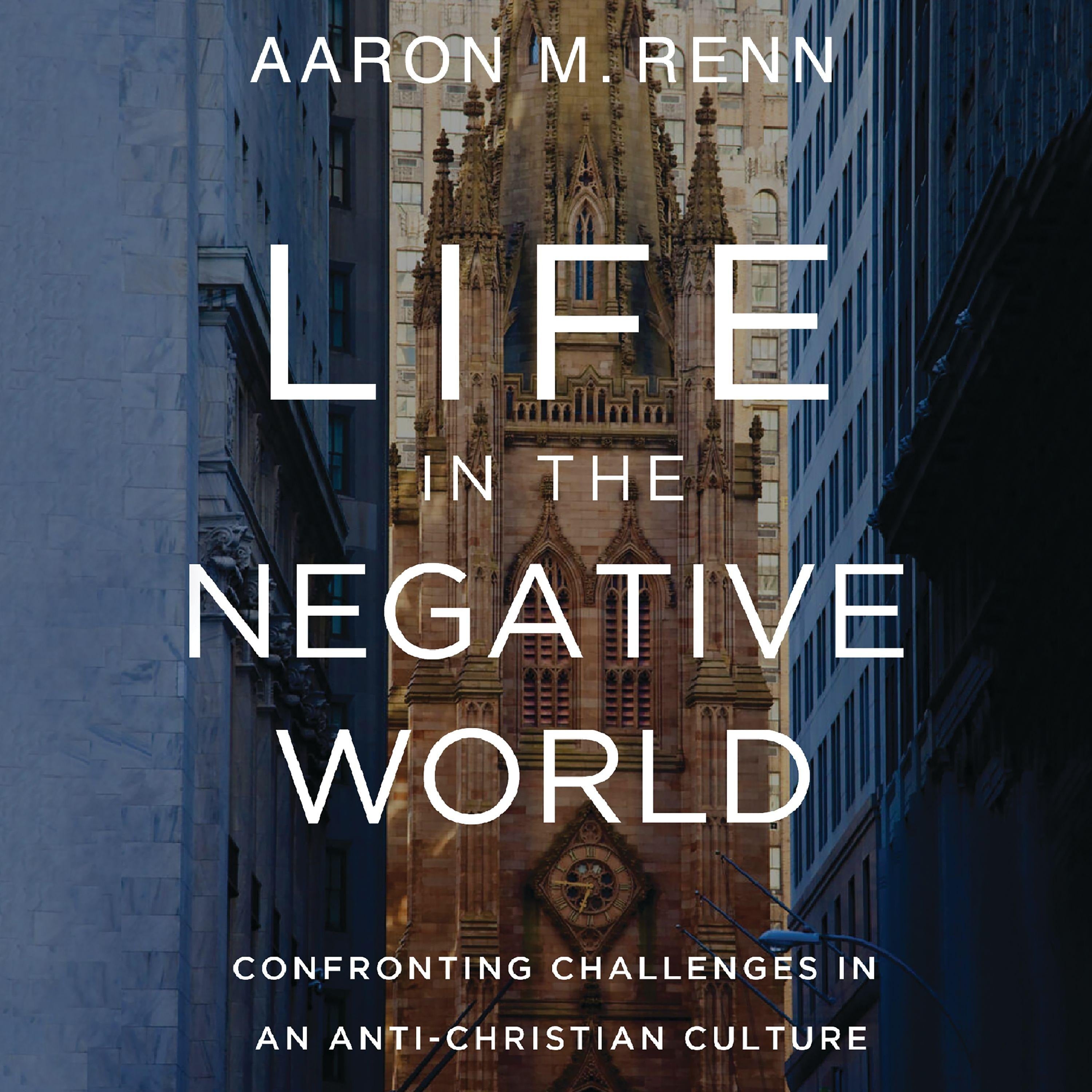 Life in the Negative World