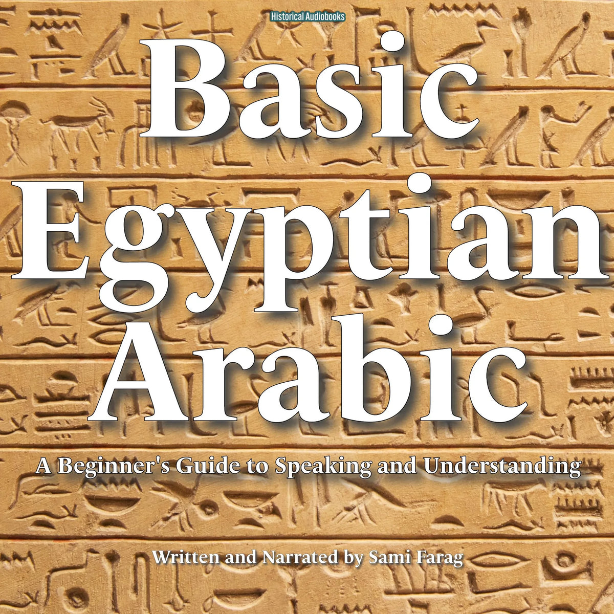 Basic Egyptian Arabic
