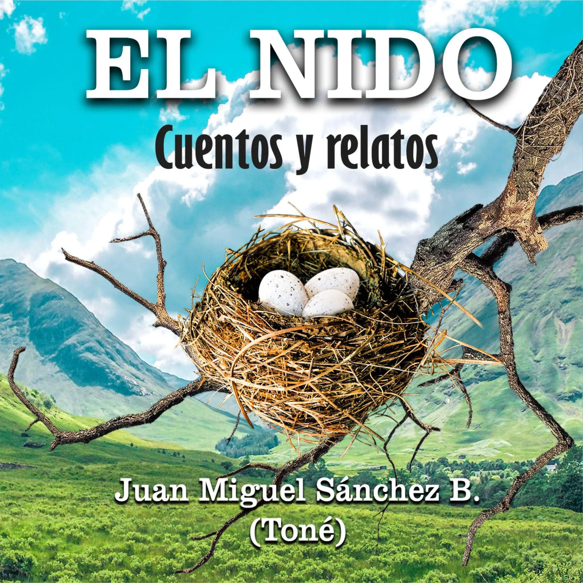 El Nido Cuentos y Relatos