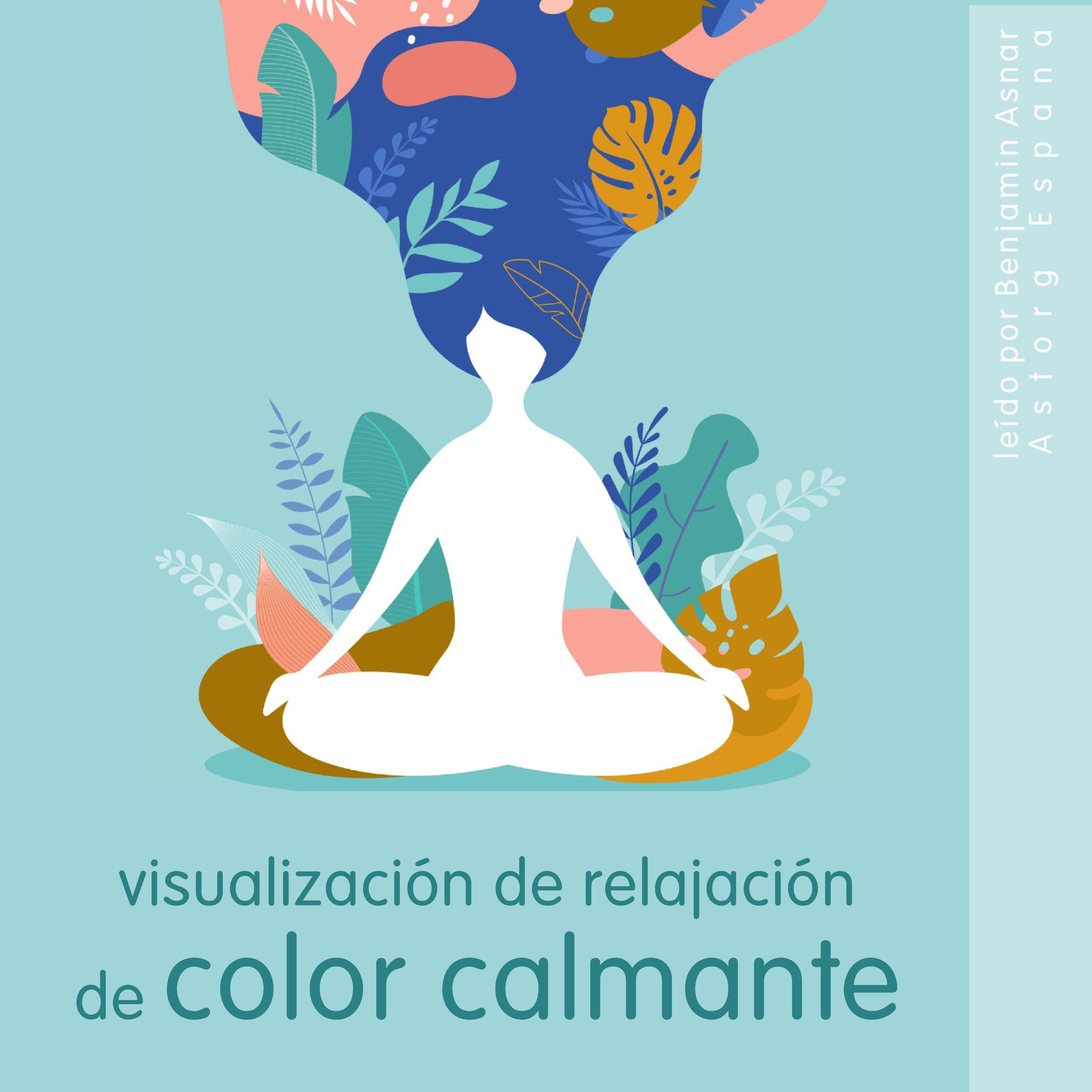 Visualización de Relajación de Color Calmante