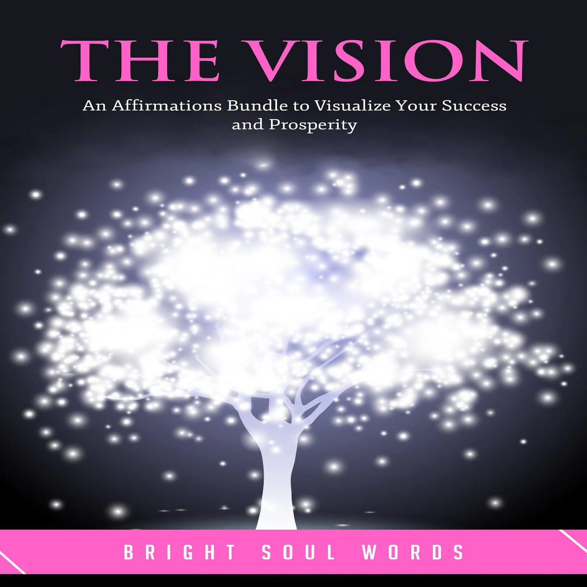 The Vision